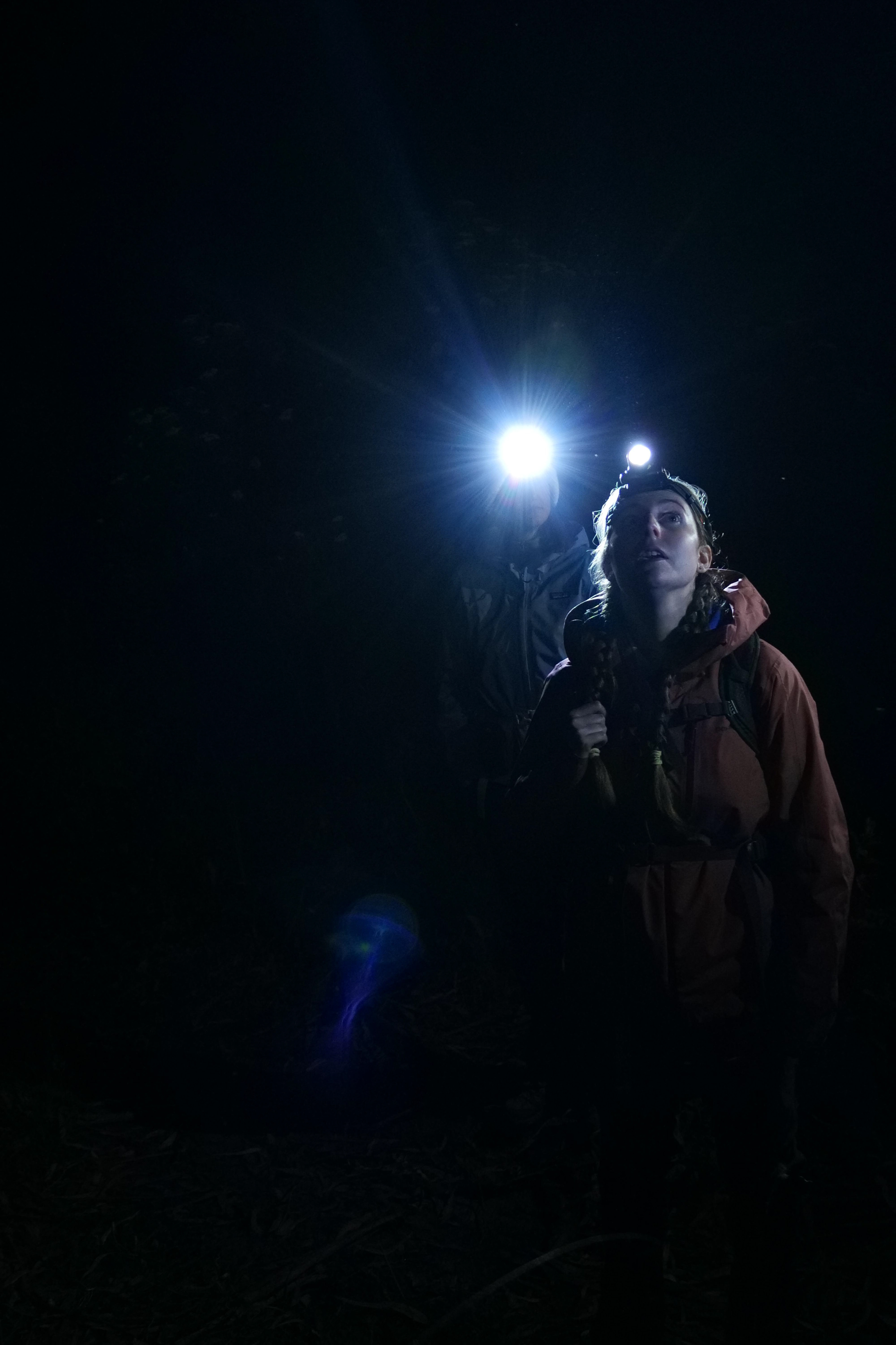 Dani n search for finding spots of the 'Giant Burrowing Frogs' 