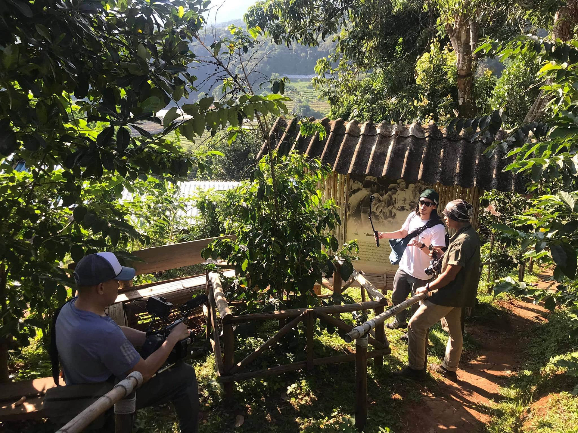 Documenting one of the coffee bean origins, Chiangmai 