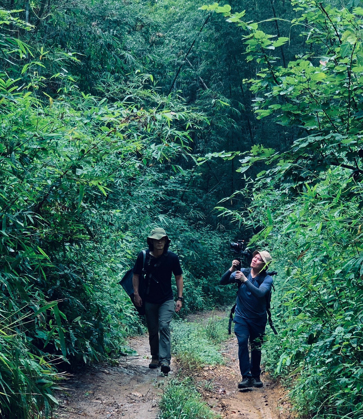 A walk in Uthai vegetation