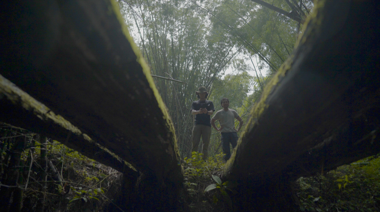 Setting up Extreme Low Angle.