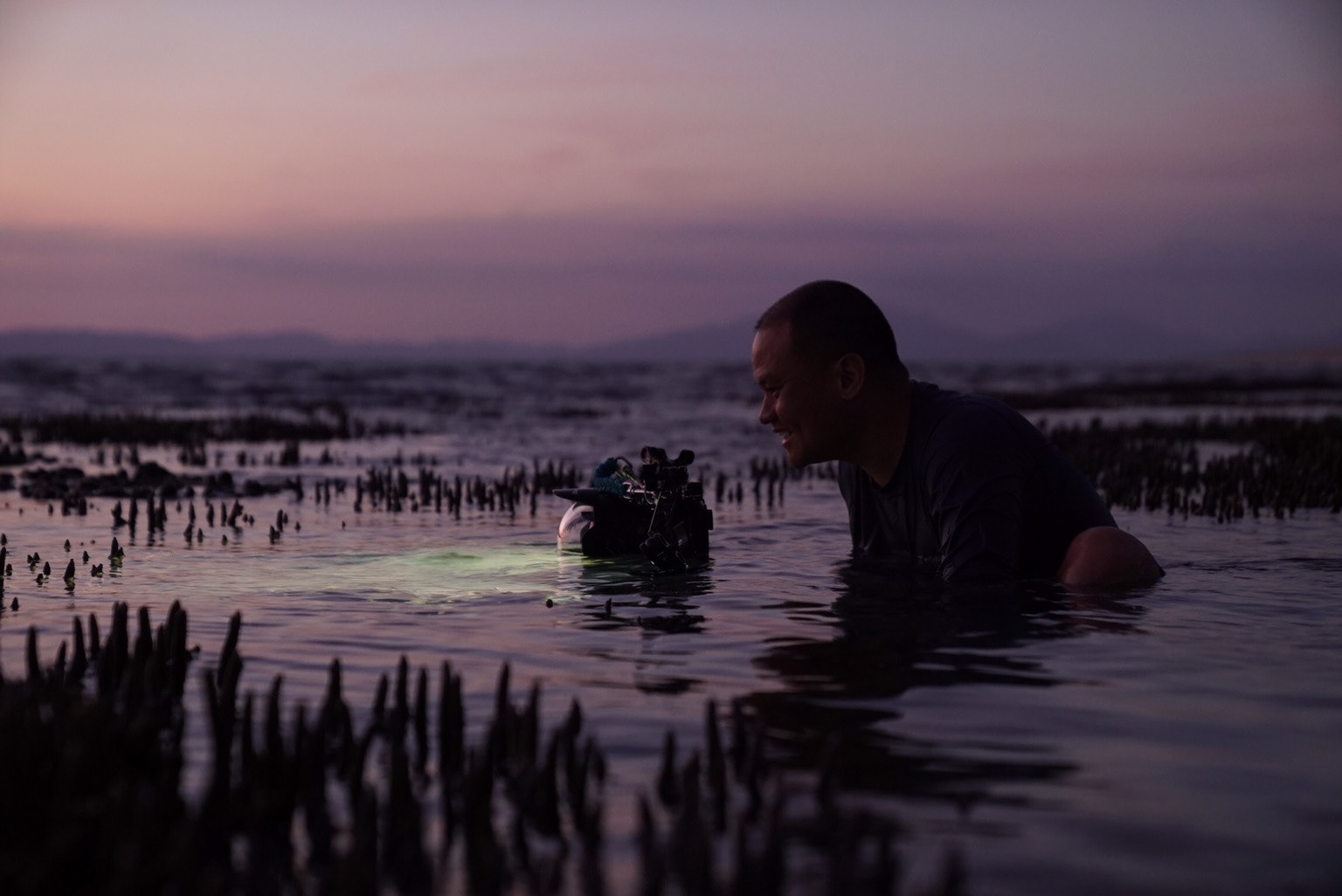     Corals in Tidal current time-lapse 
