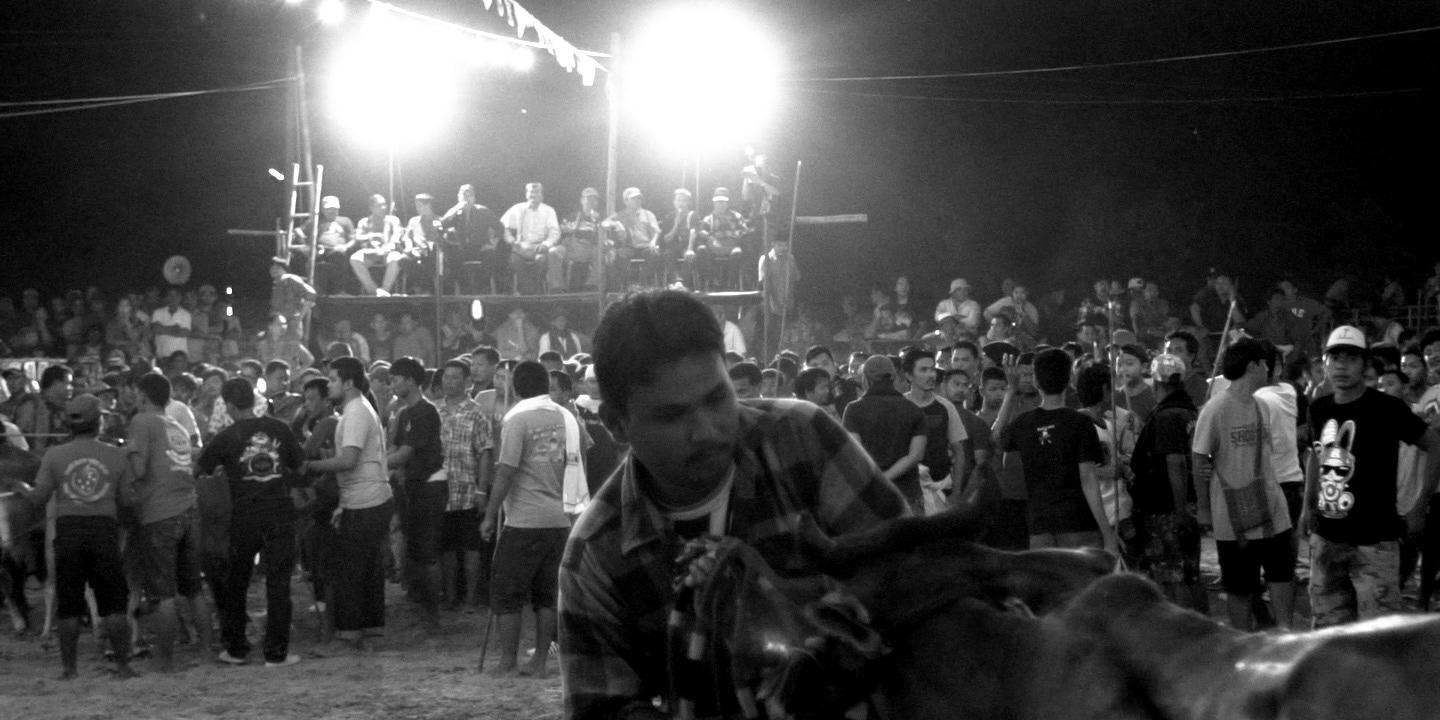 'Wua-Laan' - the masculinity/cultural beliefs, Phetchaburi