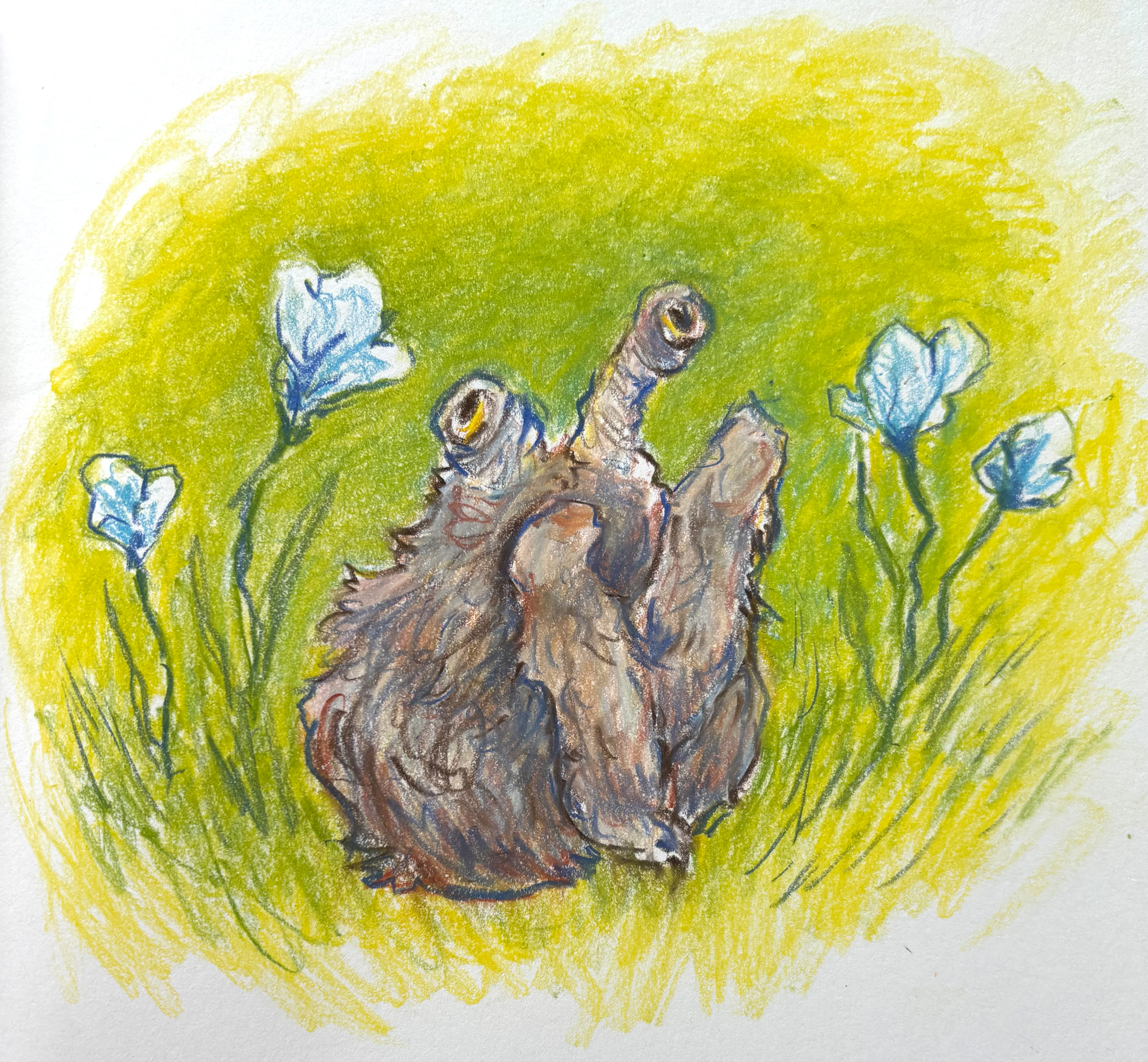 ArtFight for Yellosnacc