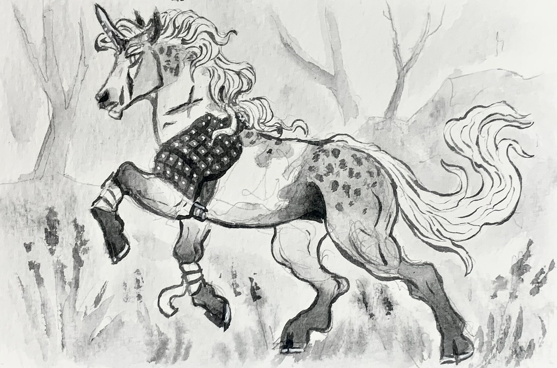 ArtFight for Wildefolk