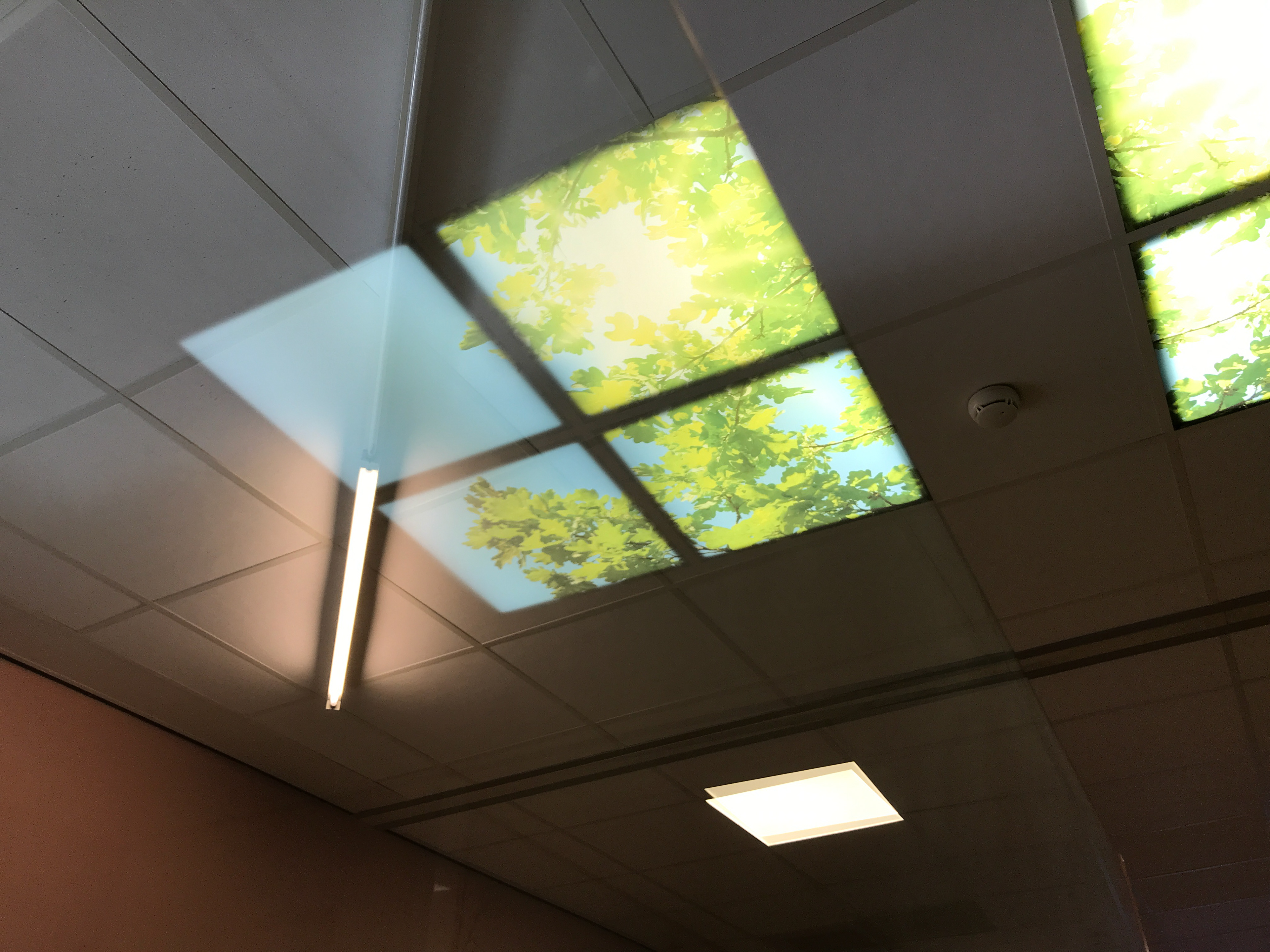 Waiting for access to X-ray room, Martini Hospital, Groningen