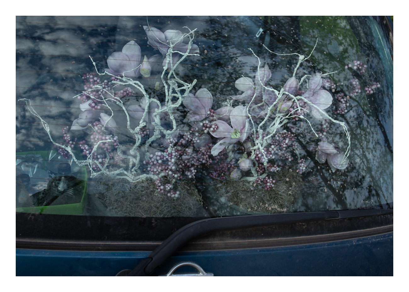 Some people prefer to take nature with them in their car. This really is convenient, since always at hand.