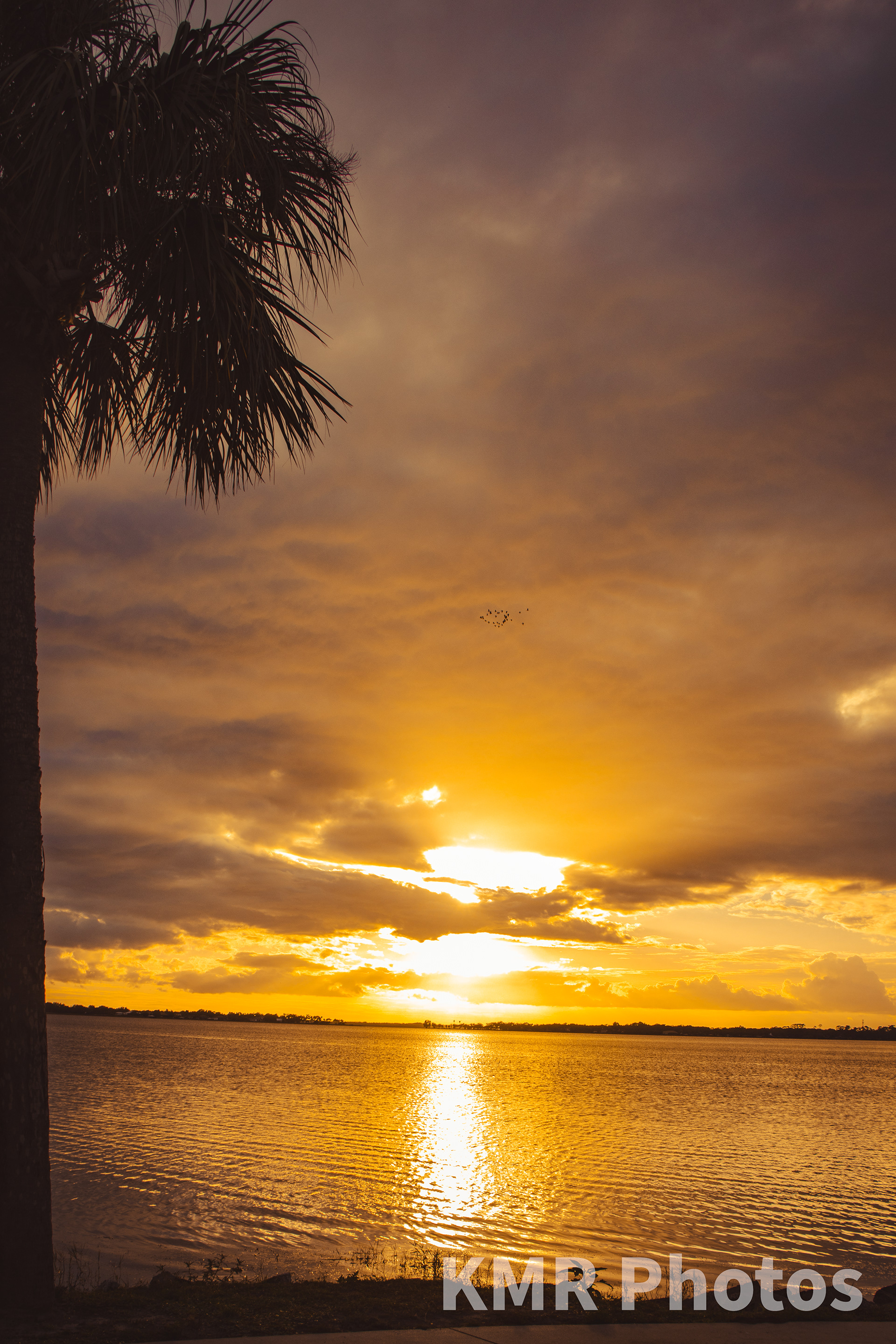 Sunset Over Gilbert Park, Mount Dora