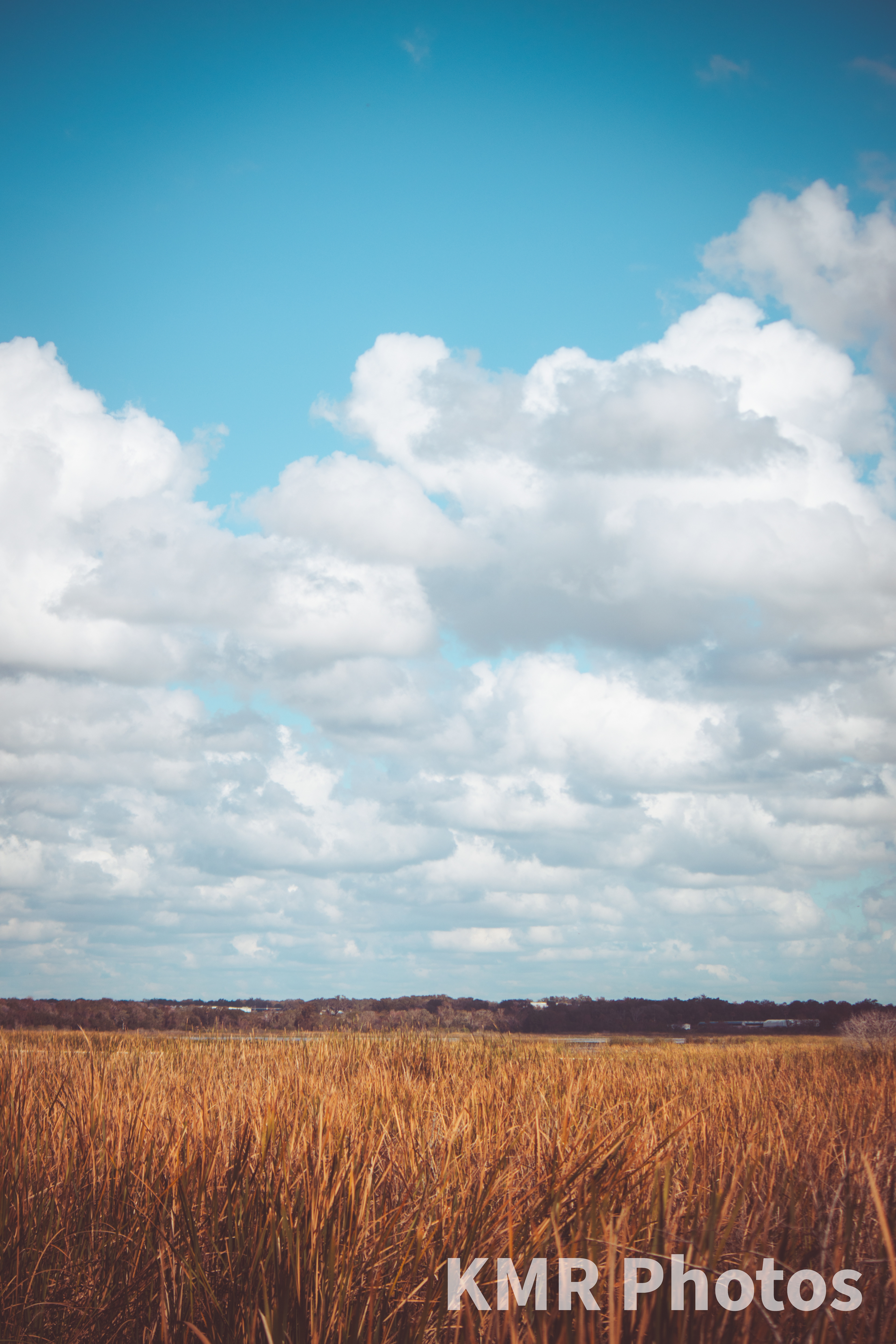Lake Apopka Wildlife Drive