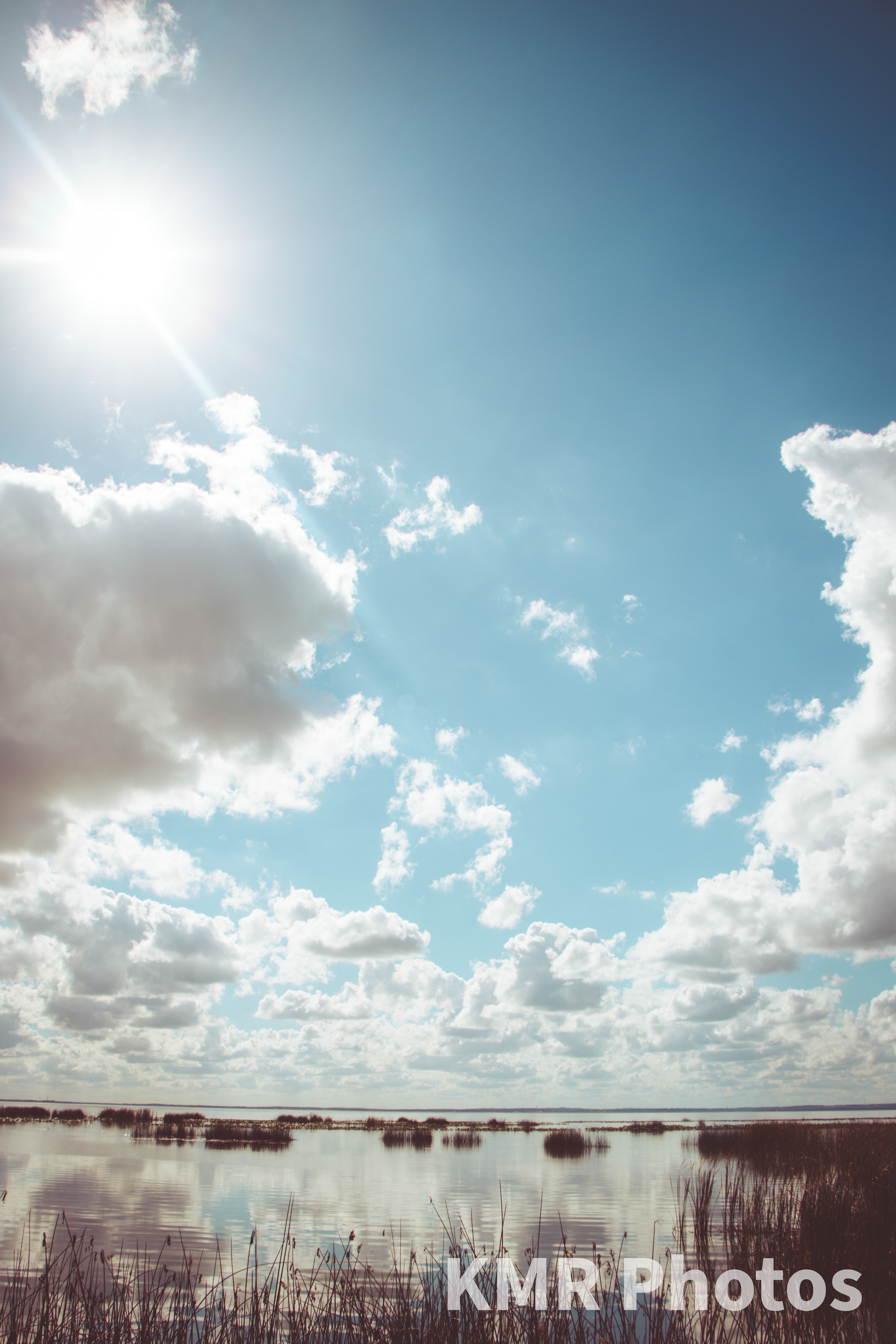 Lake Apopka Wildlife Drive