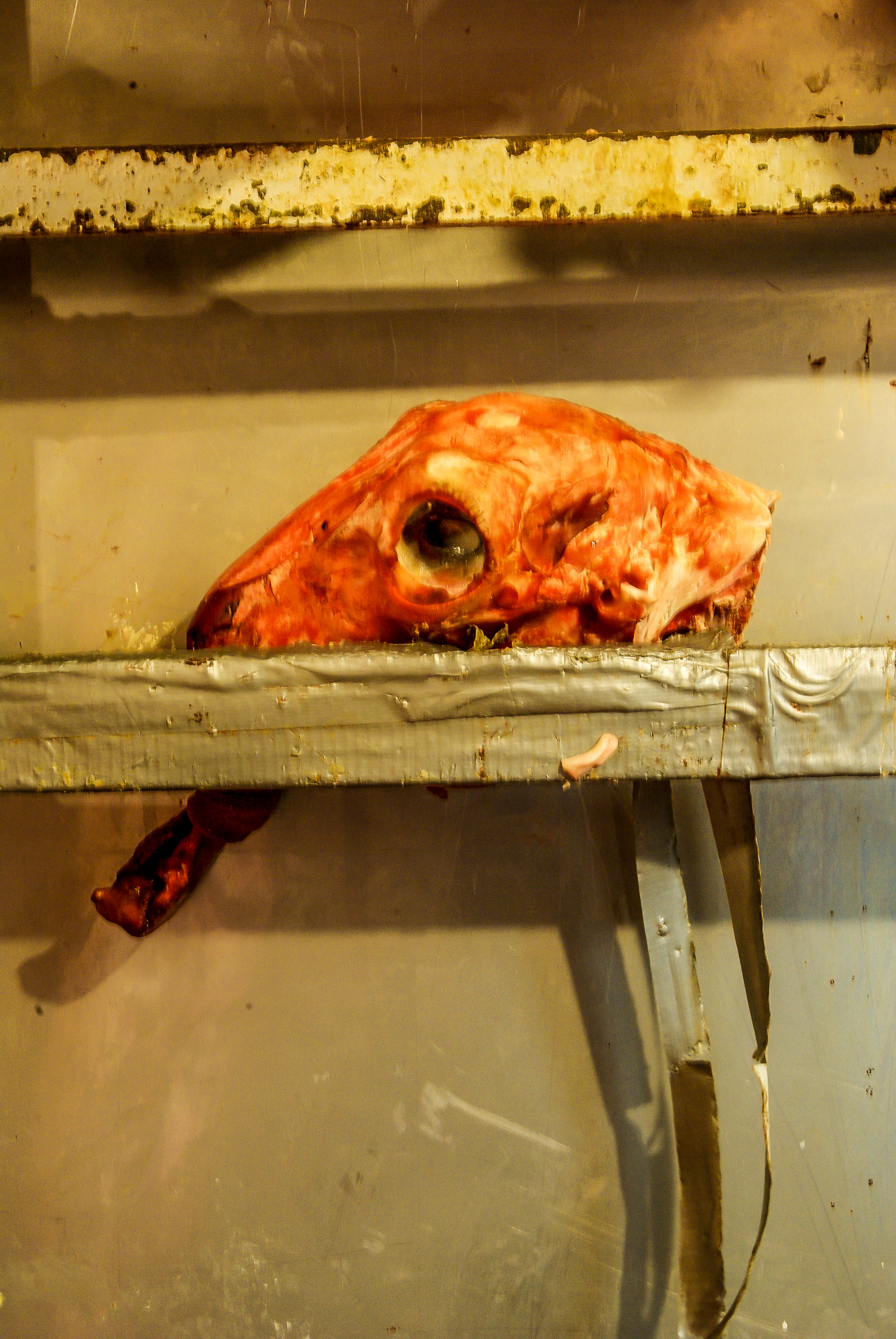 Skull in Meat Locker