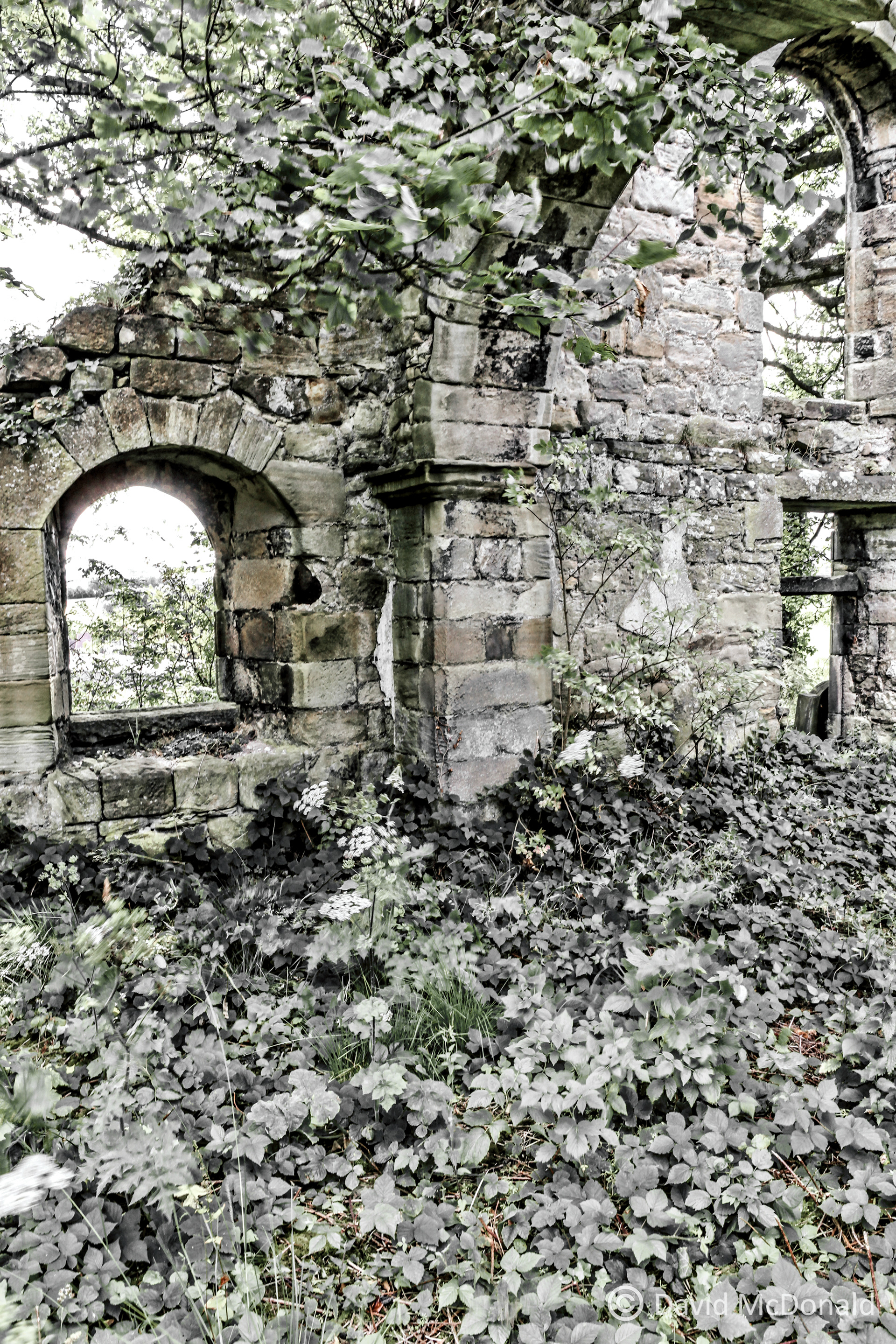Church in Scotland