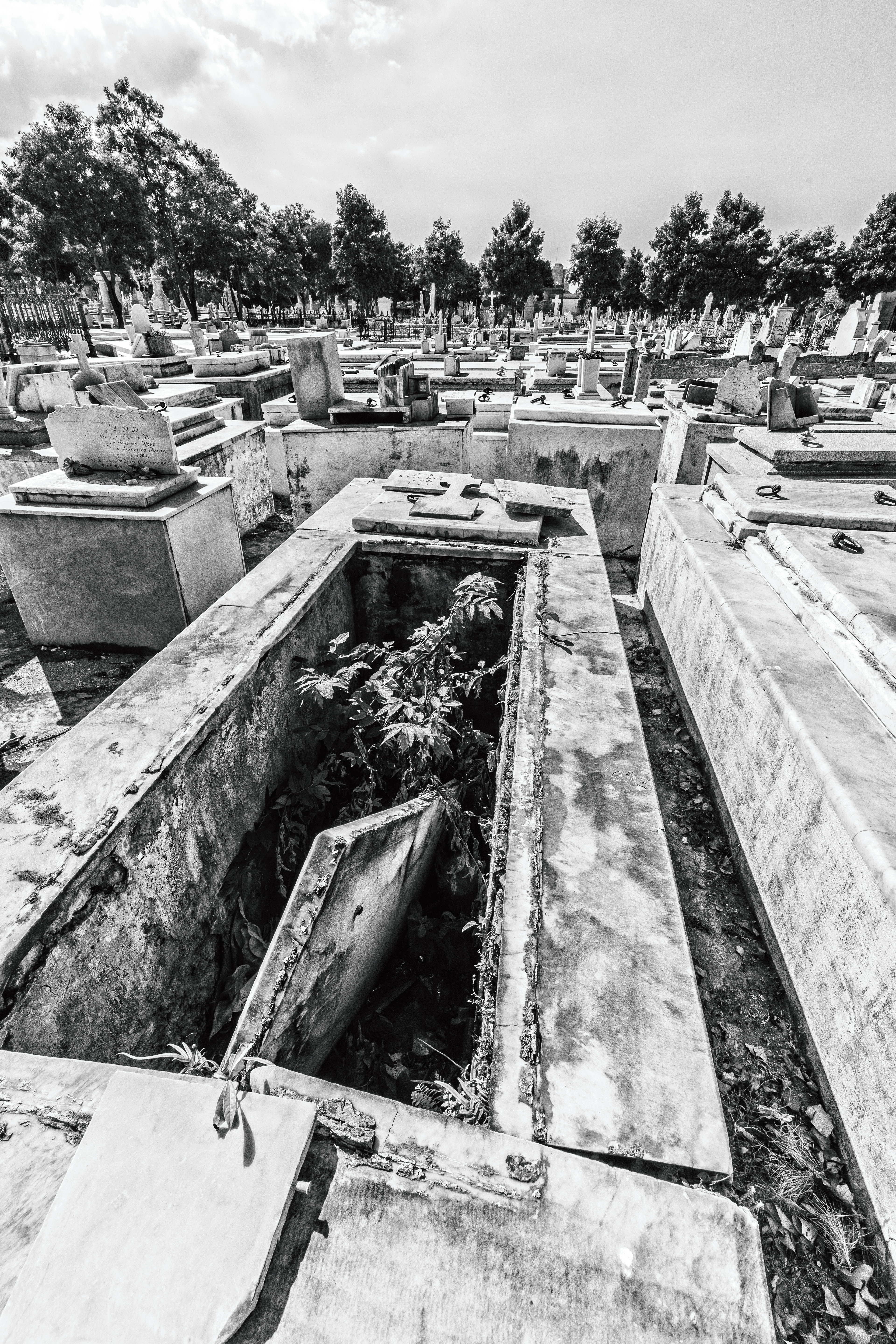 Colon Cemetery, Havana