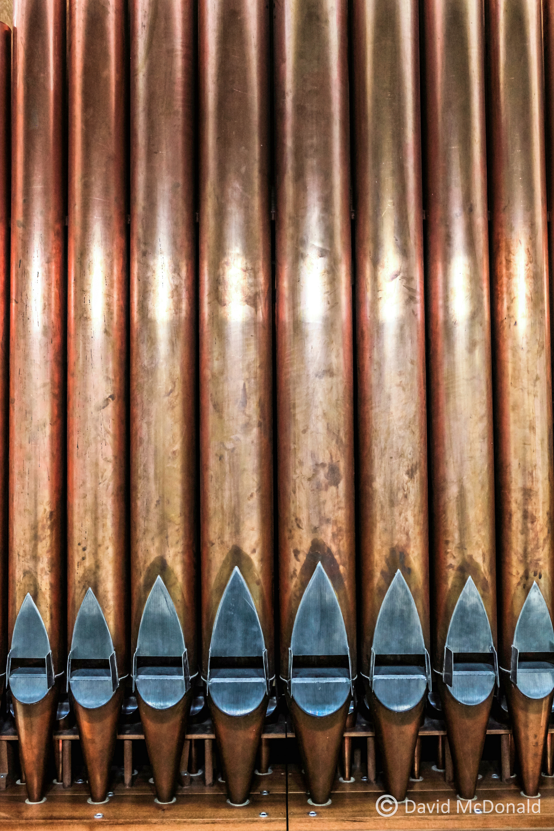 Pipe Organ