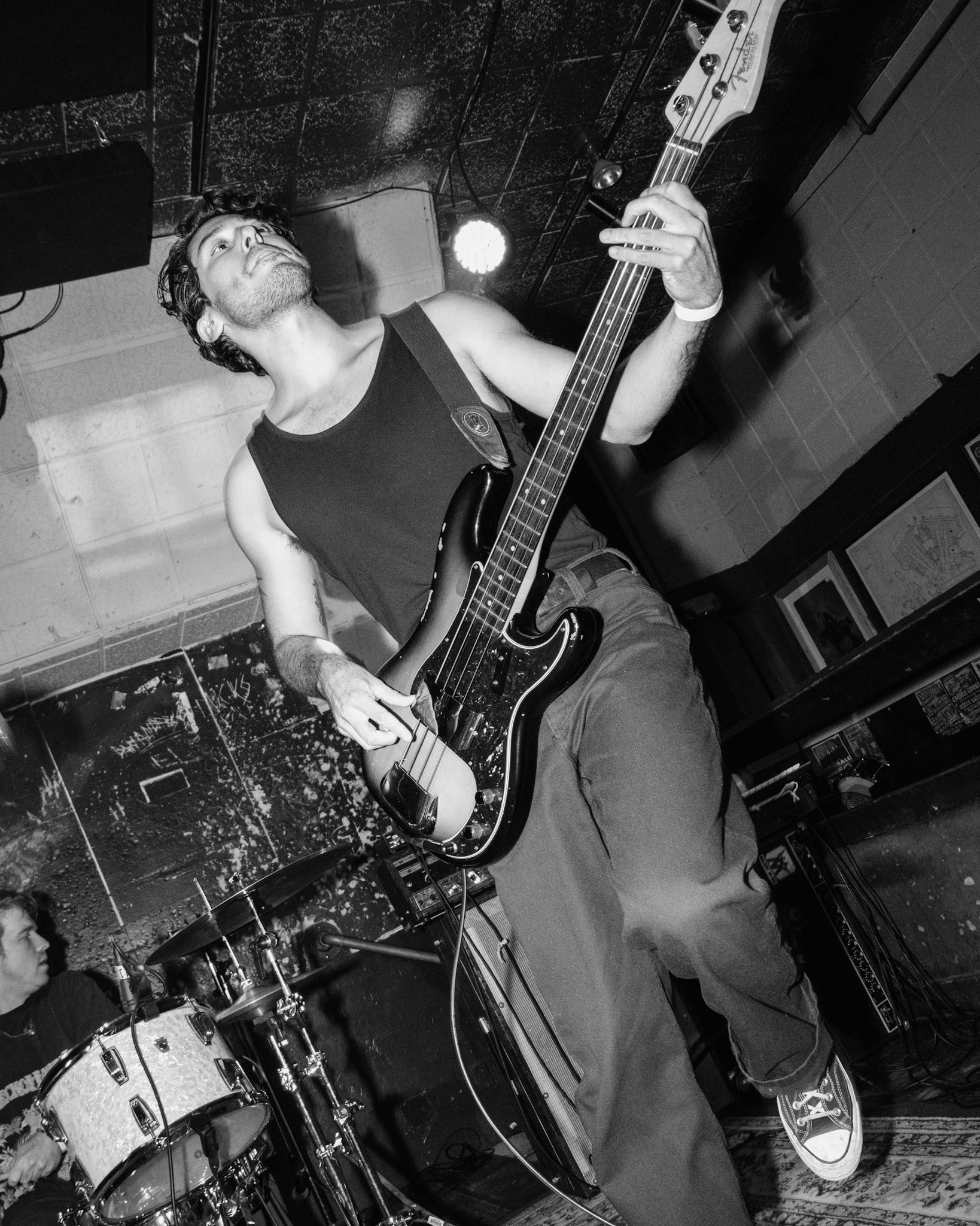 The Snares
