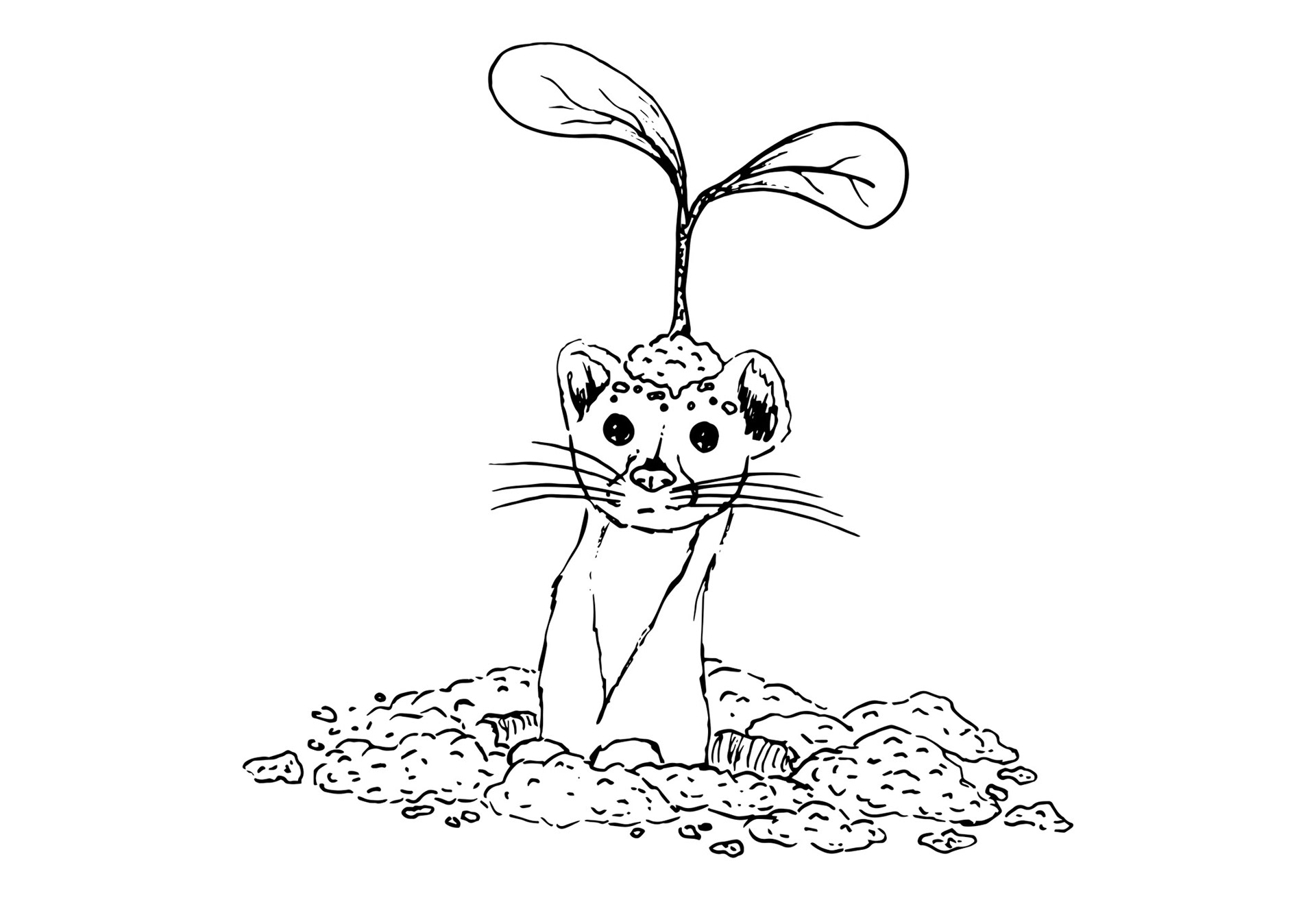 "Sprouted"