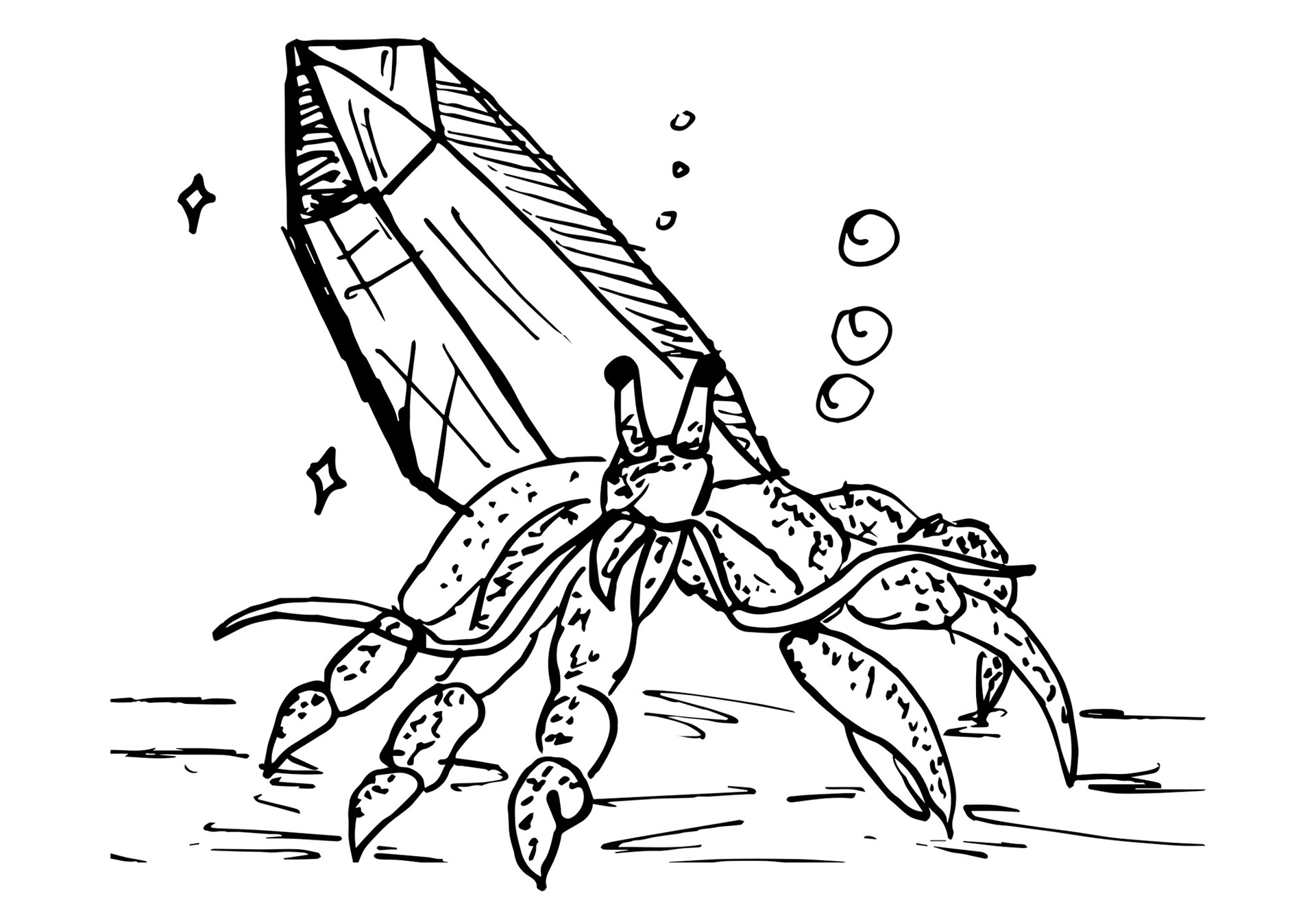 "Crystal Hermit"