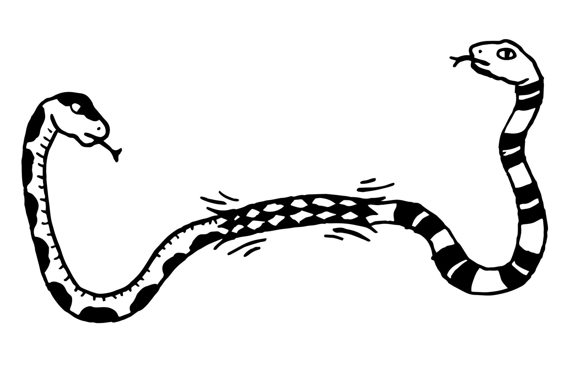 "Snake Finger Trap"