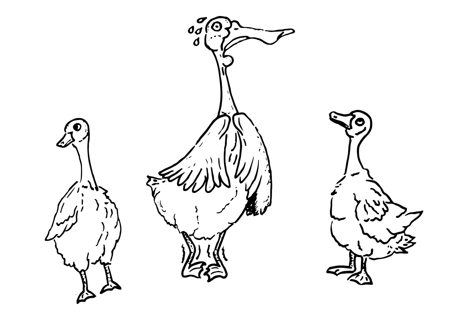 "Duck Duck Goose"