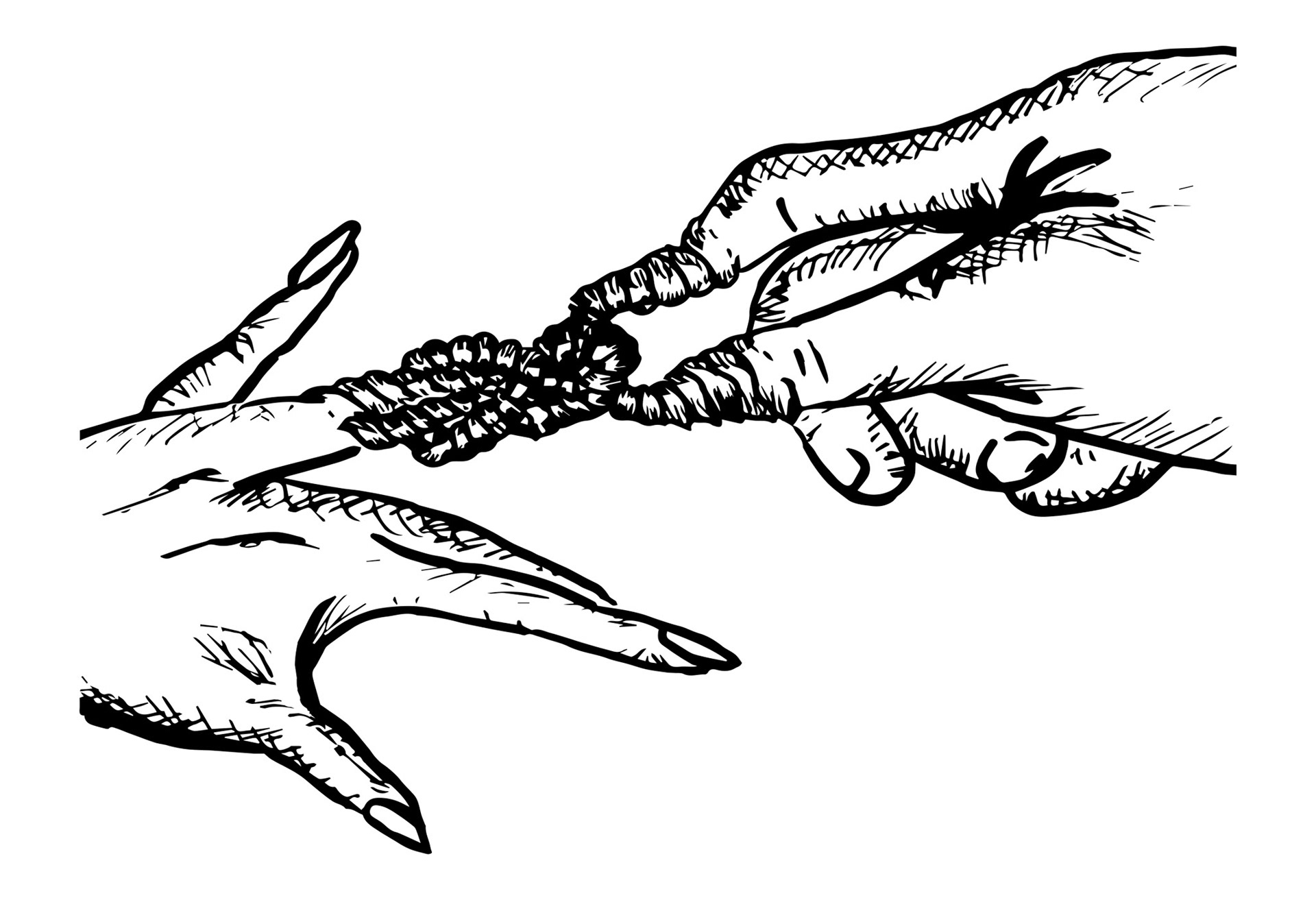 "Tying the Knot"
