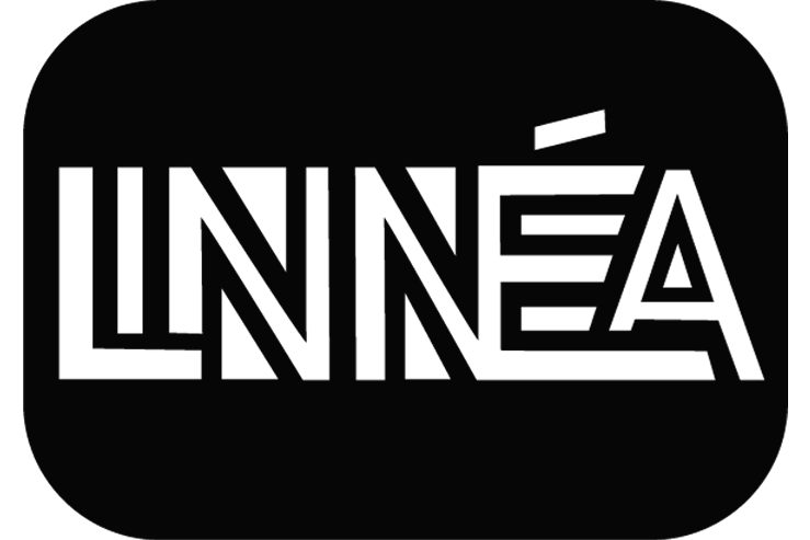 Mit navn som logo
