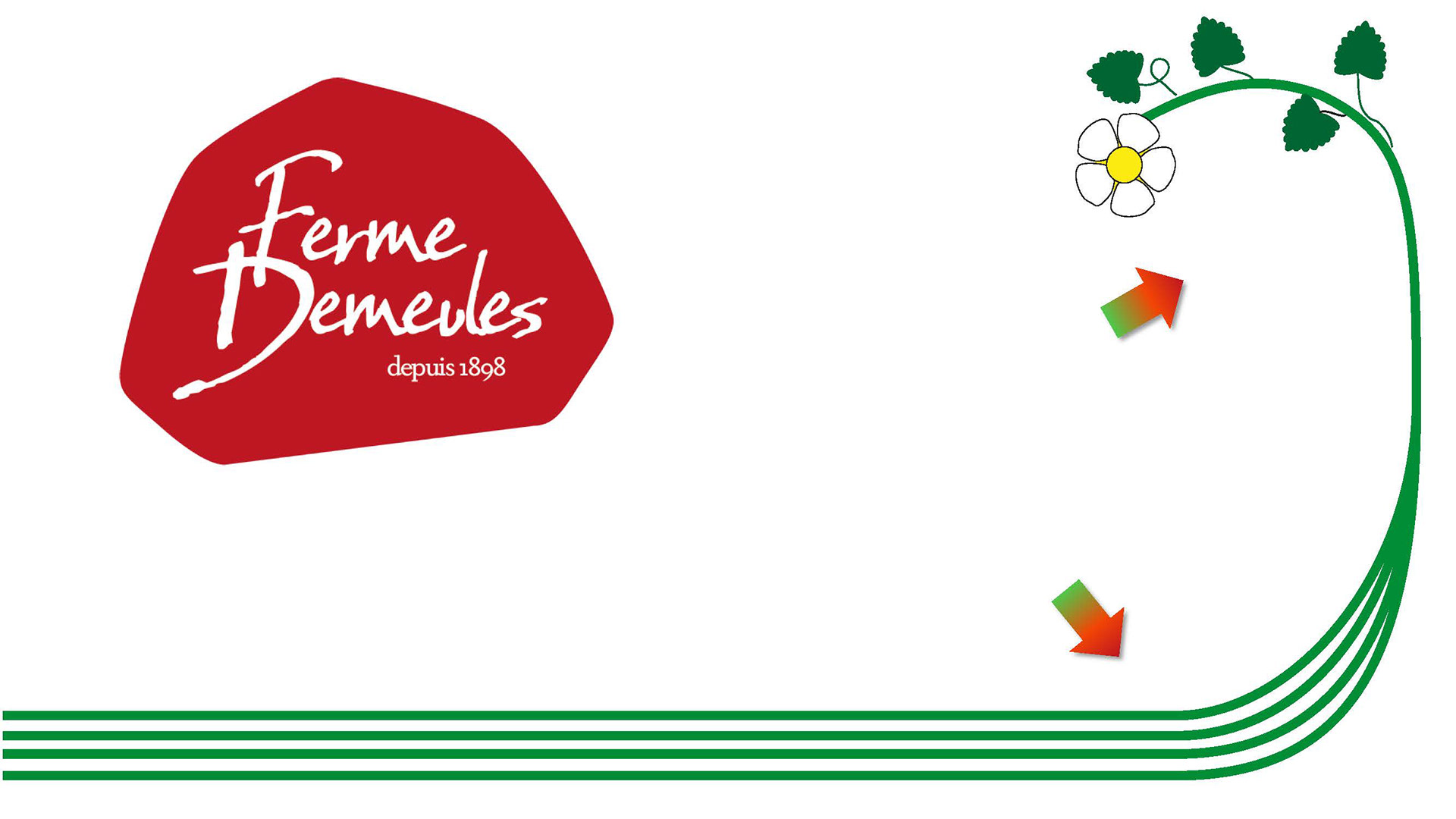 Éléments de la signature graphique