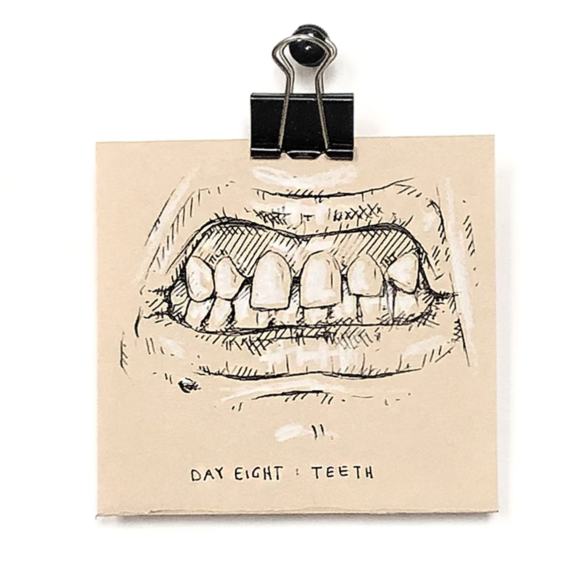 Teeth