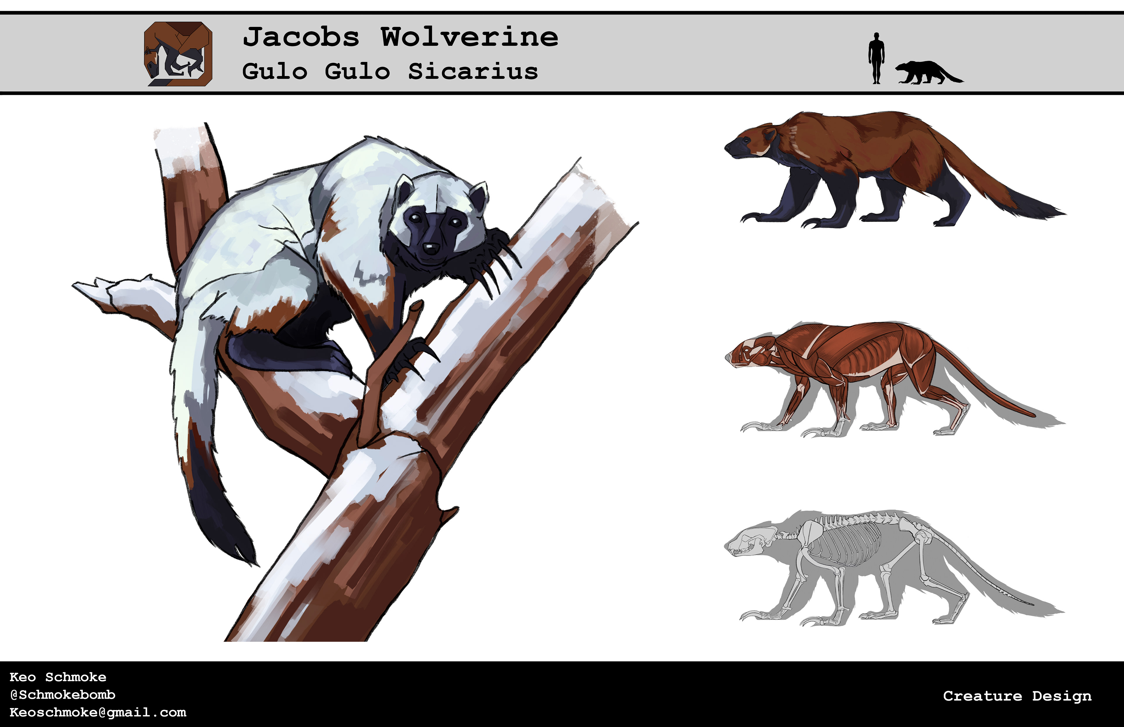 Jacobs Wolverine