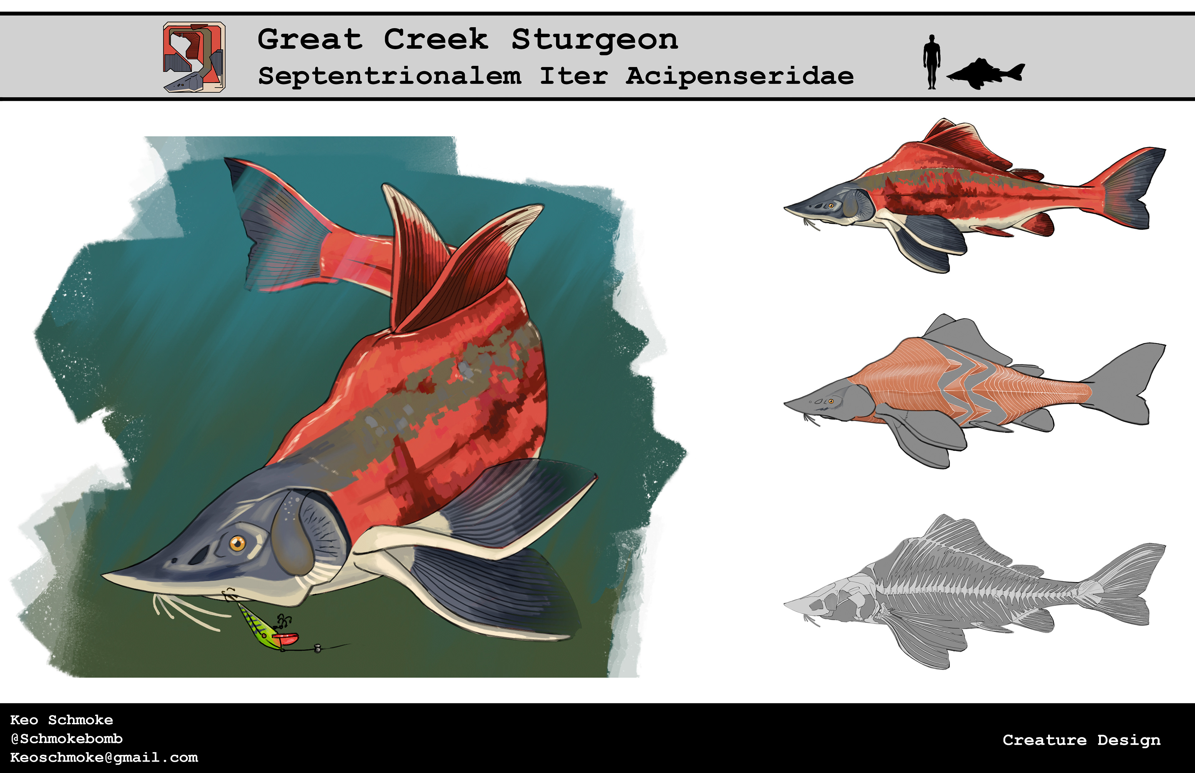 Great Creek Sturgeon