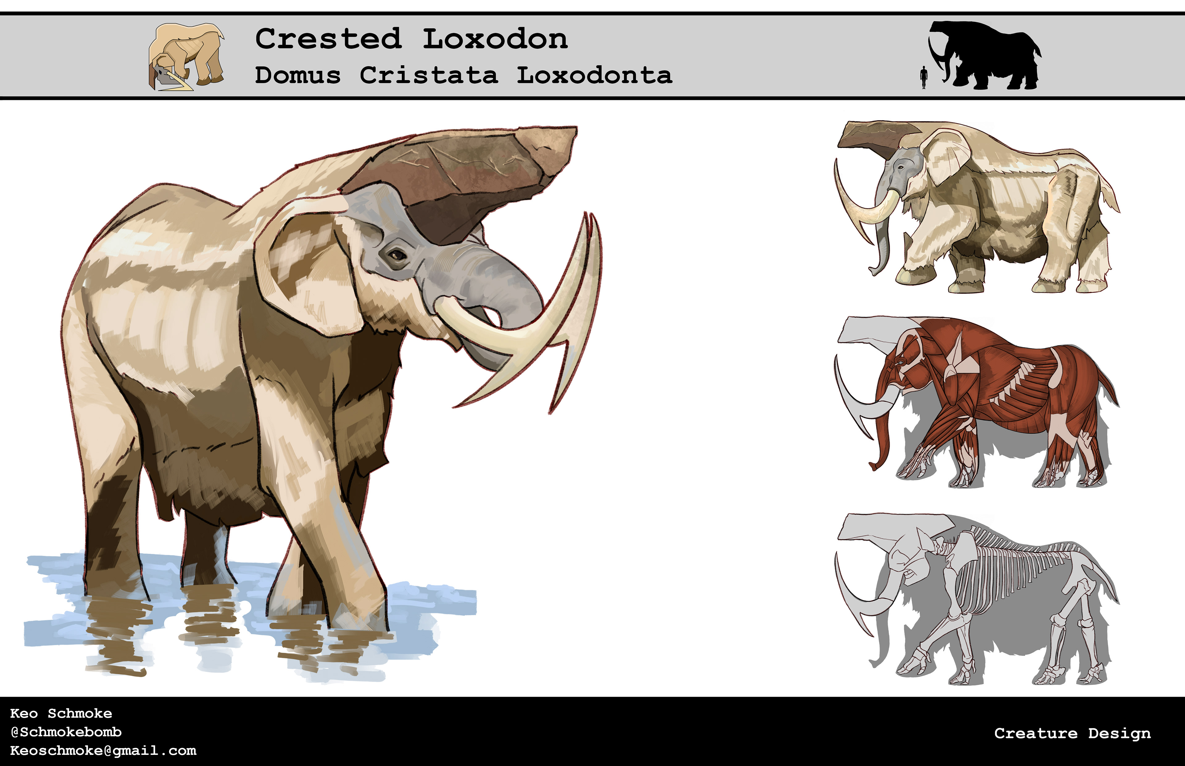 Crested Loxodon