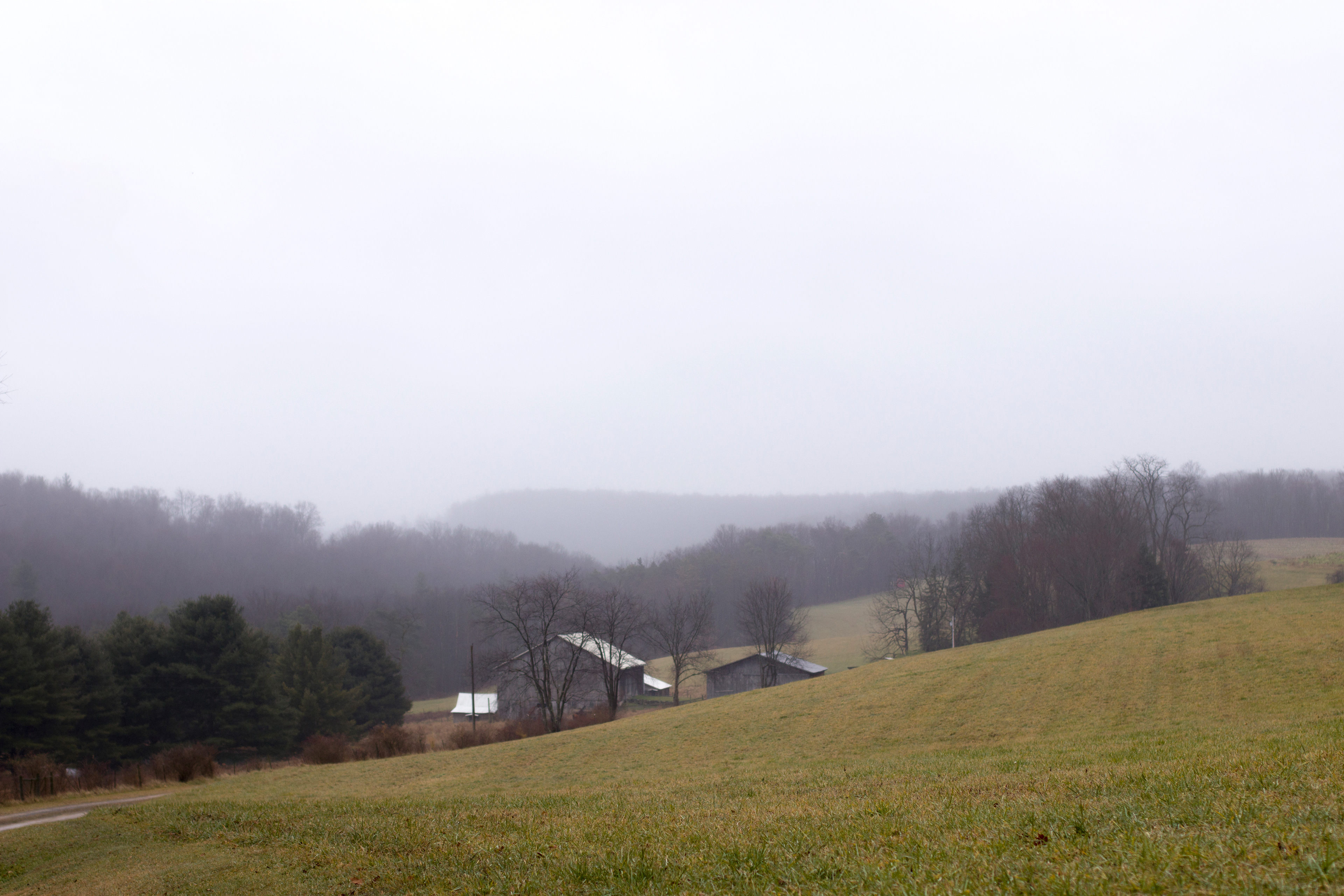 Landscape I