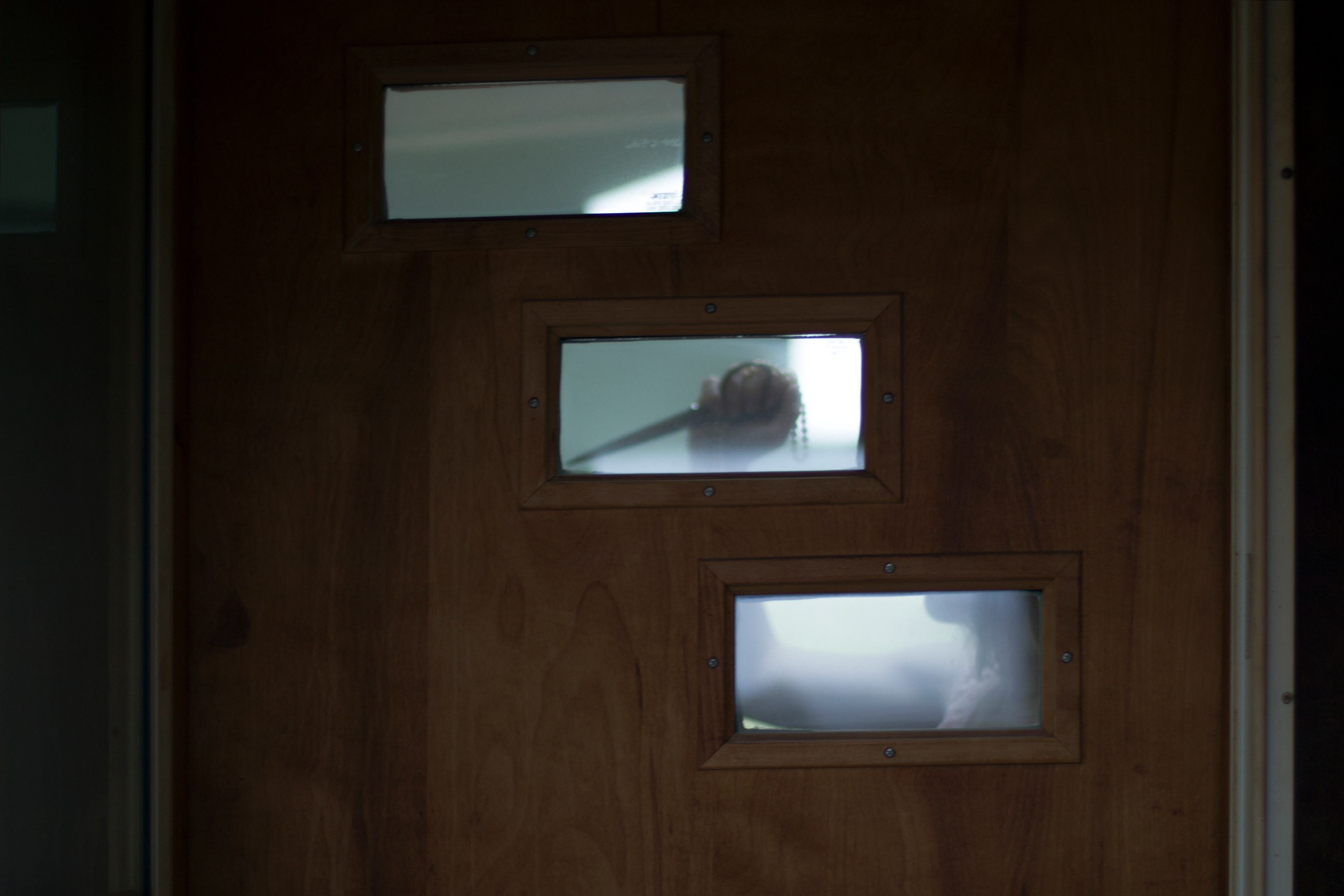 Woman Behind Sun Room Door
