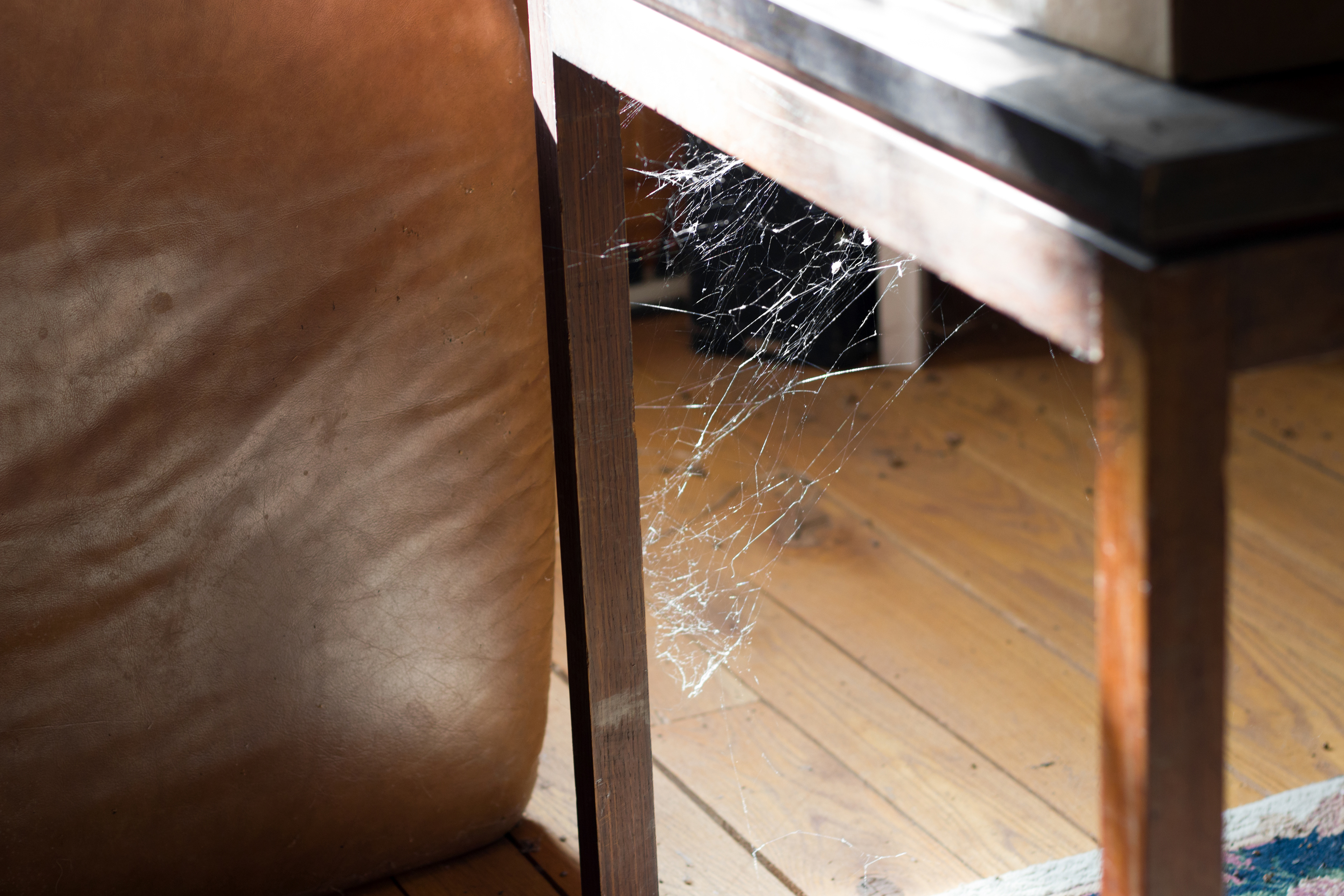 Cobwebs in the Guest House