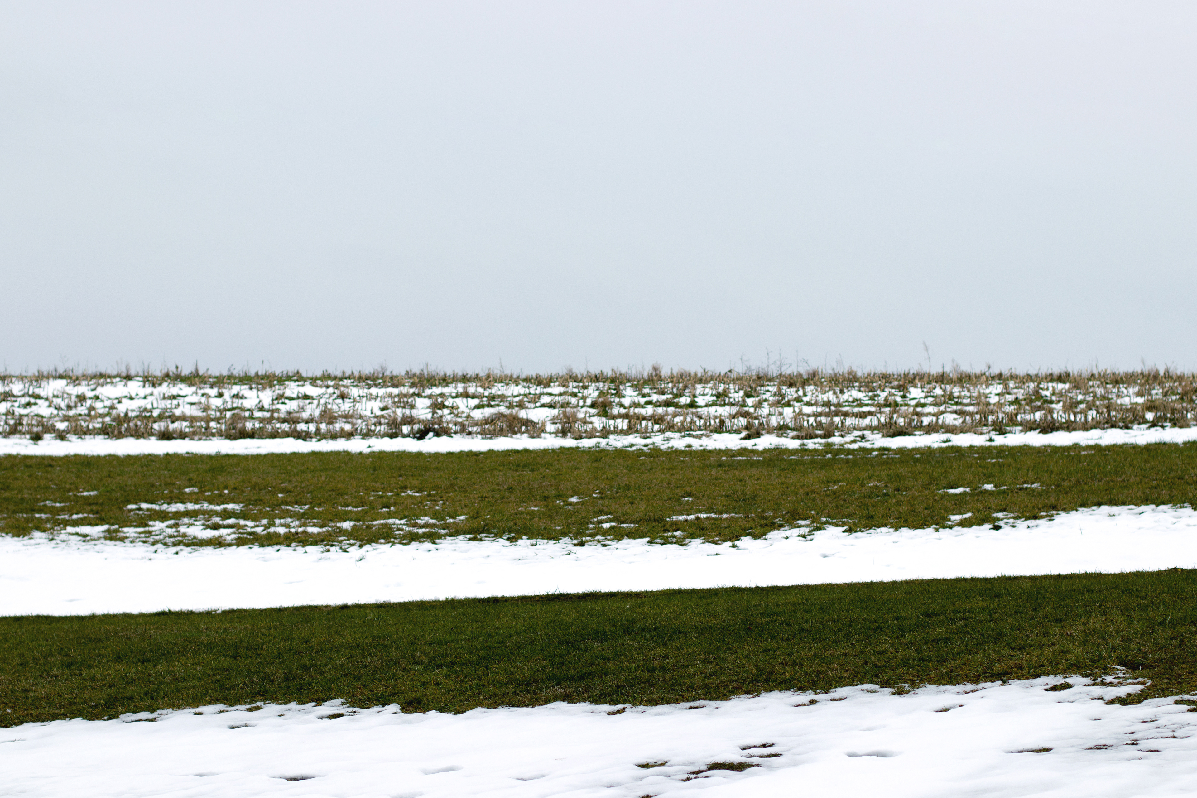 Landscape II