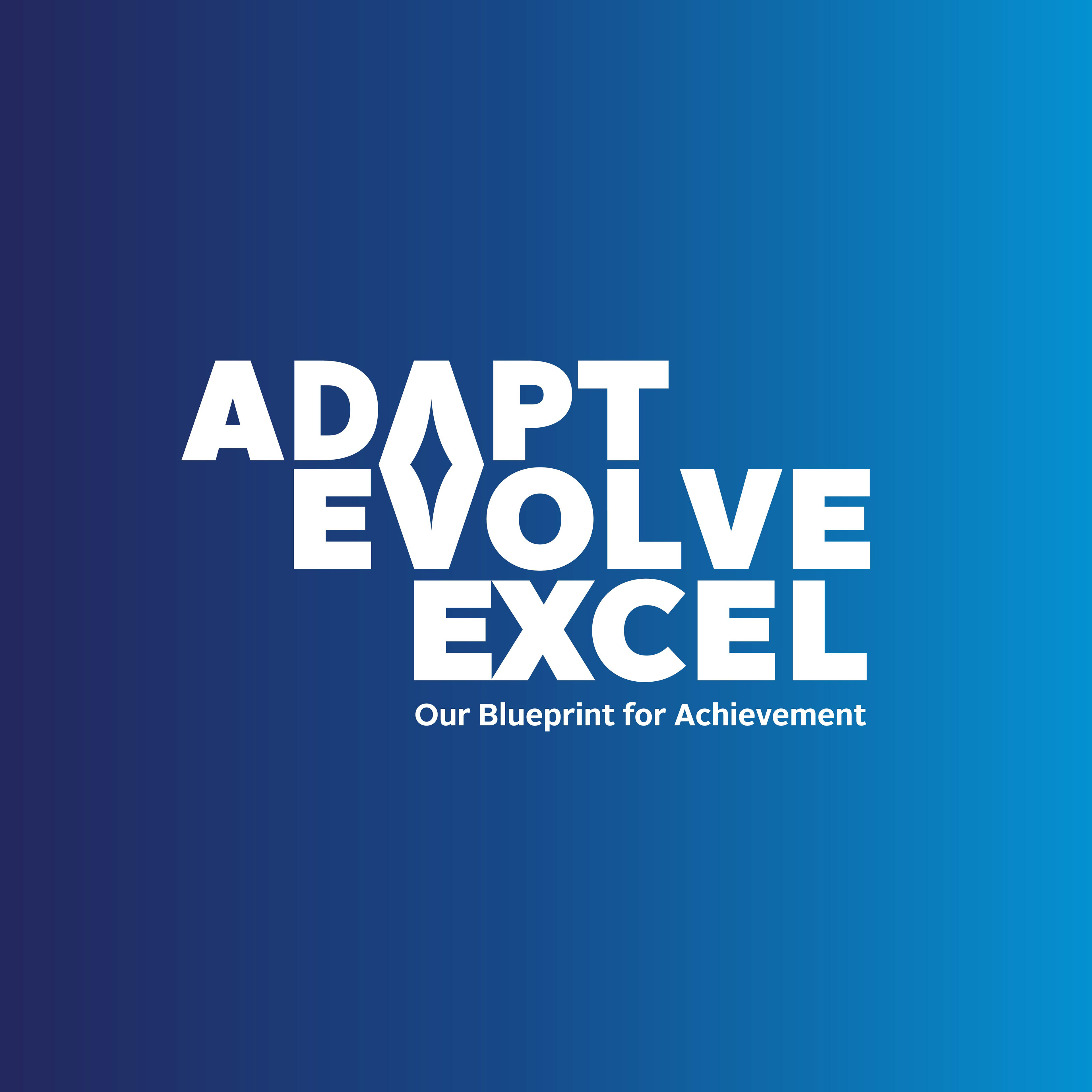 IBX Internal Initiative Logo