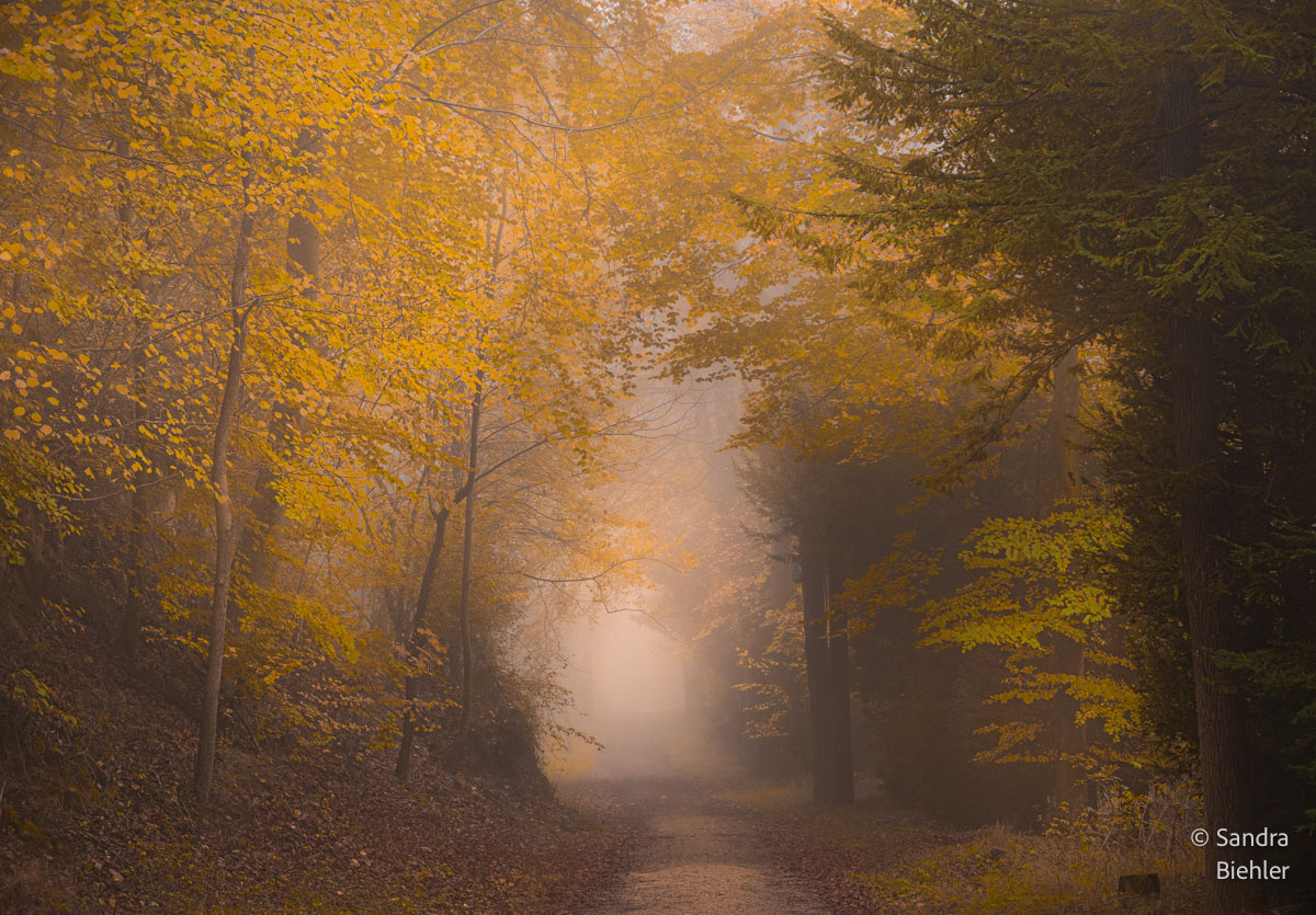 Lilienthal Kaiserstuhl