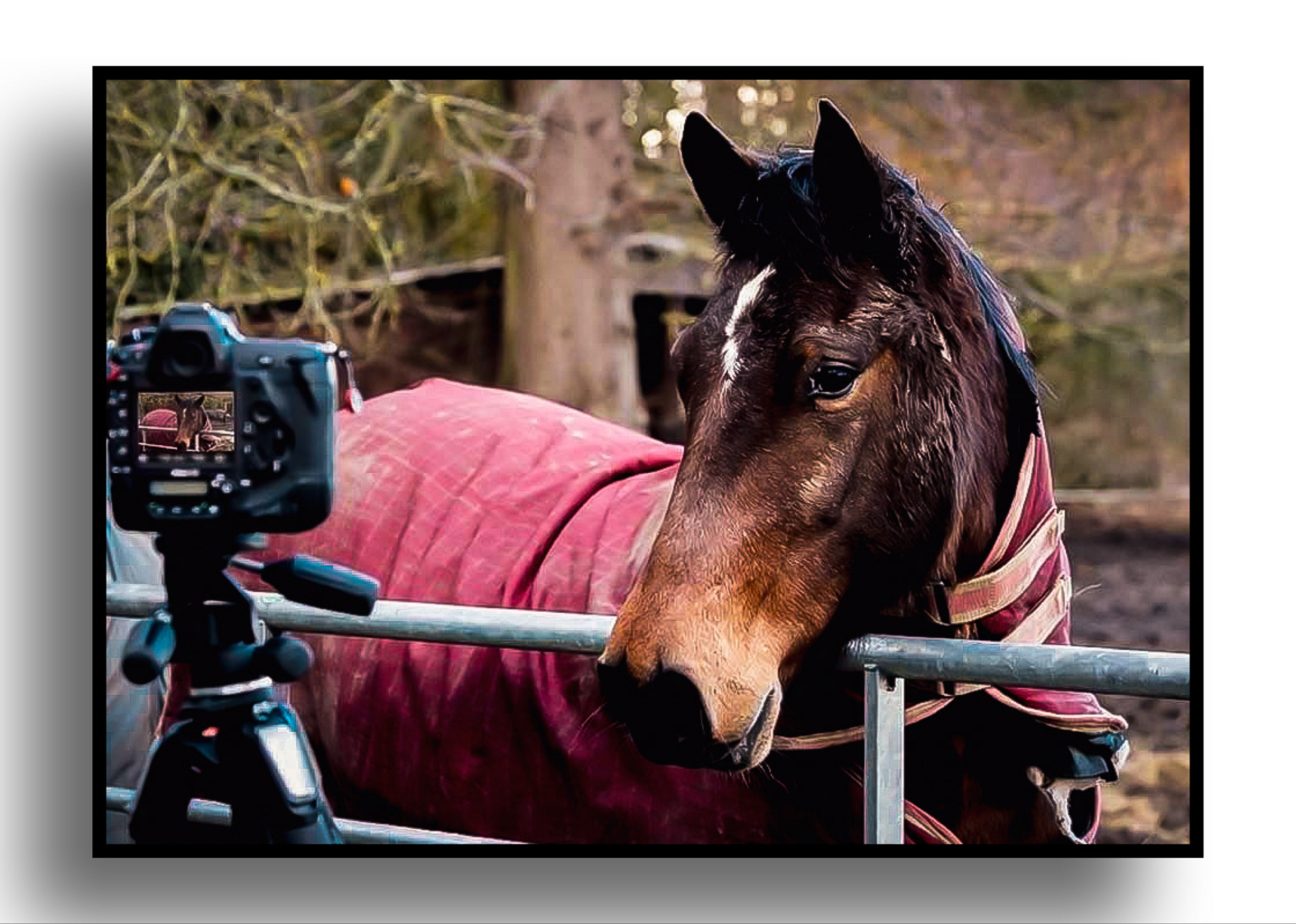 Ned filming my latest blog