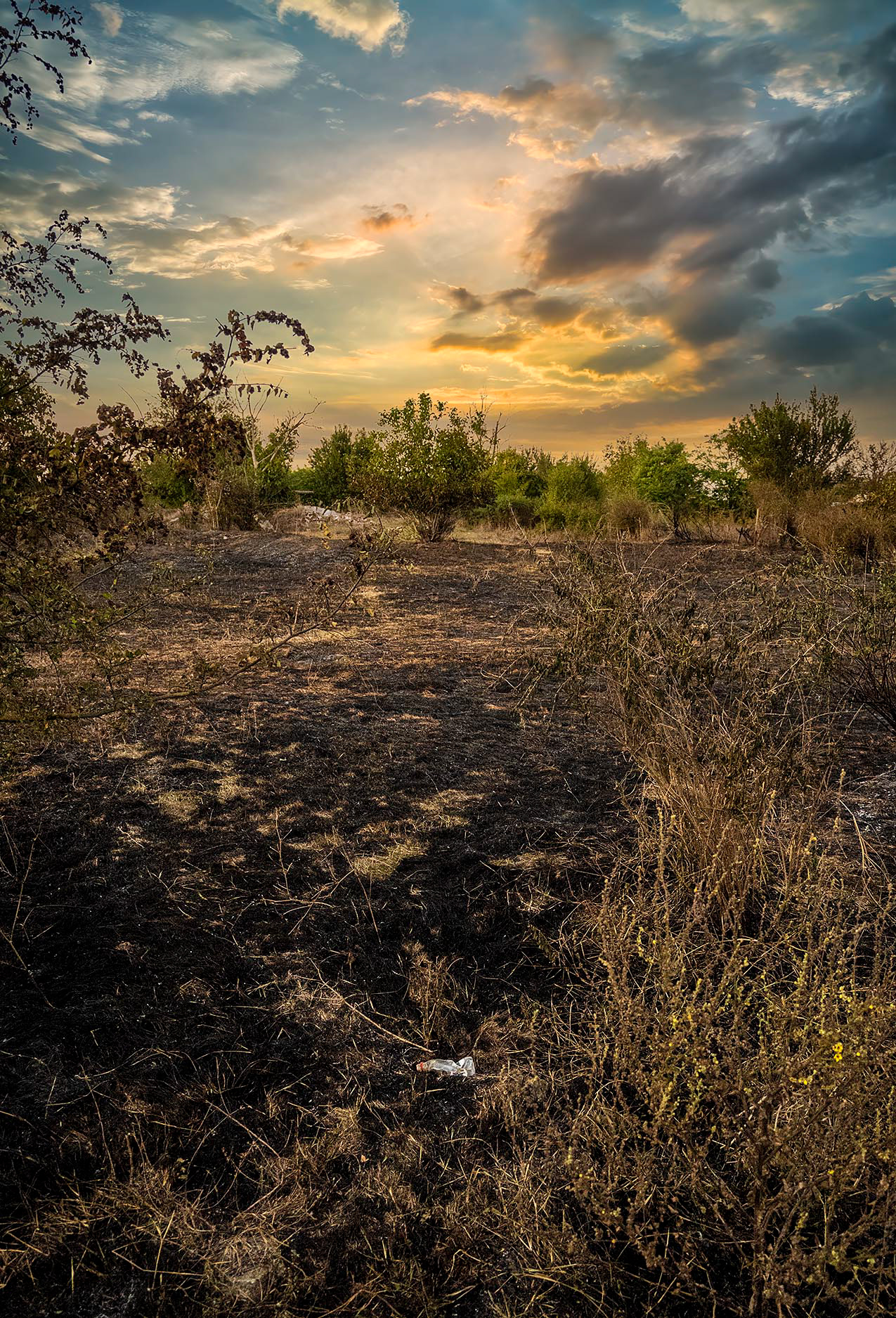 Climate change wildfire edge of village
