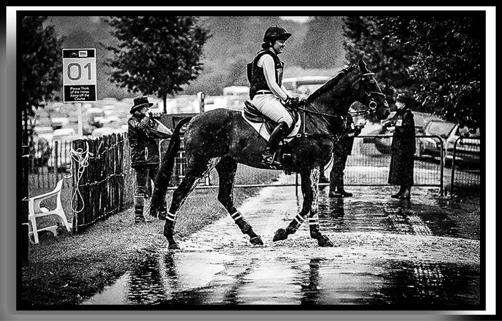Land Rover horse show