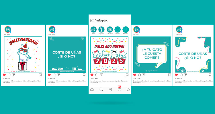 Diseño de estética de instagram para @happycatsveterinaria