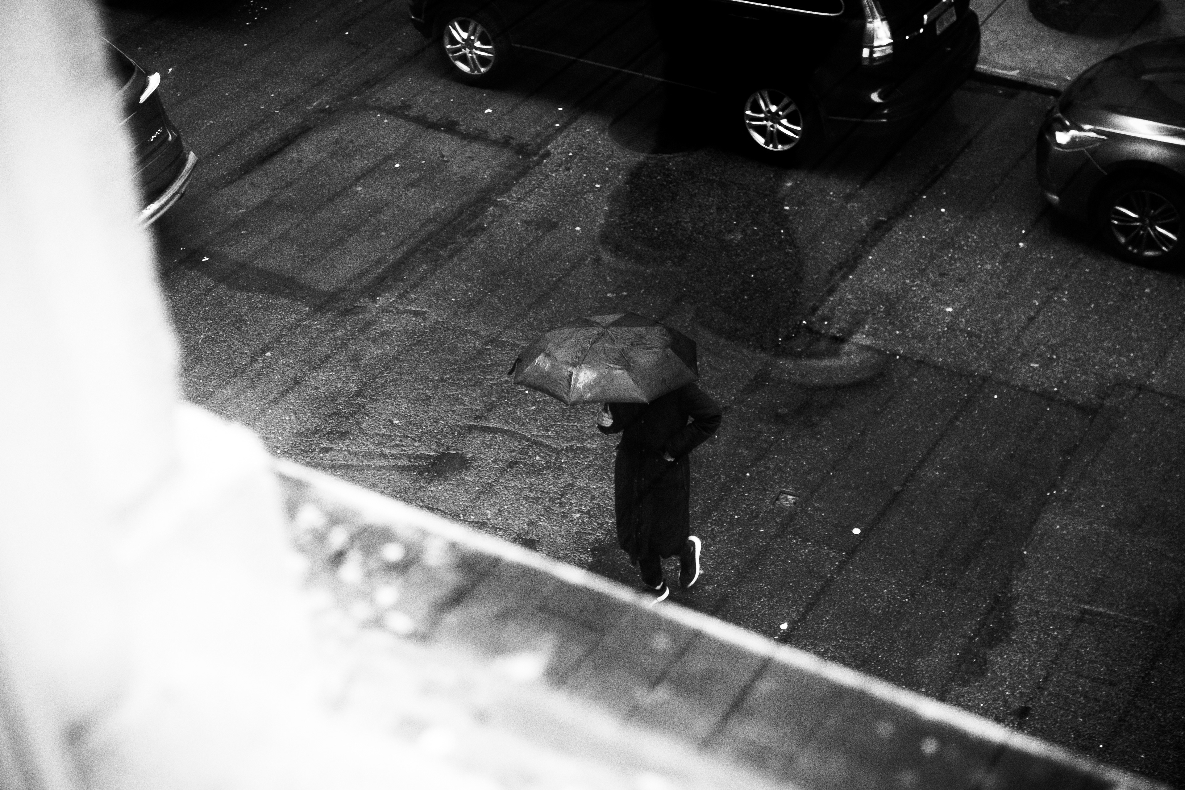 Walking Reflections, 2025