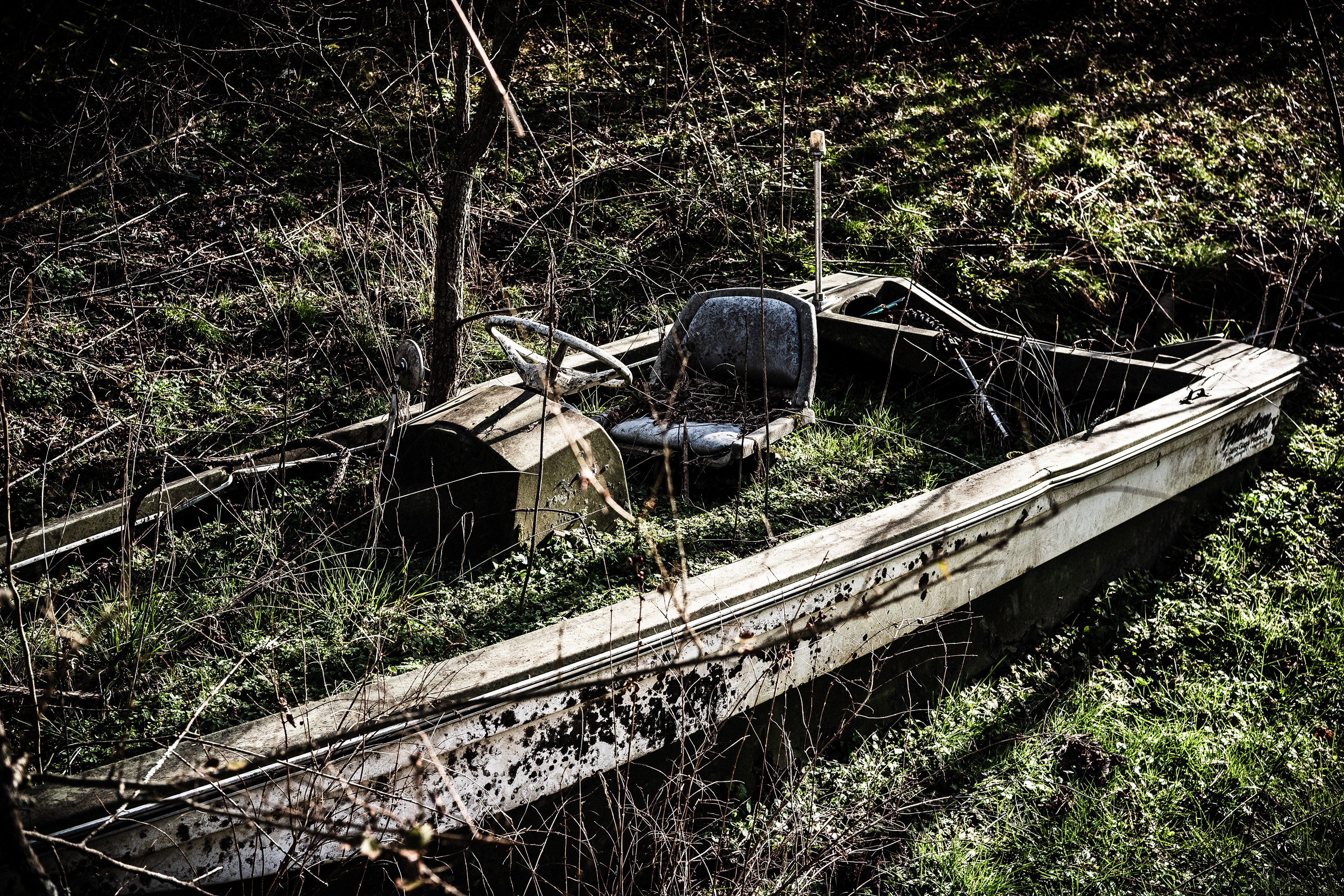 Nature's Vessel, 2025