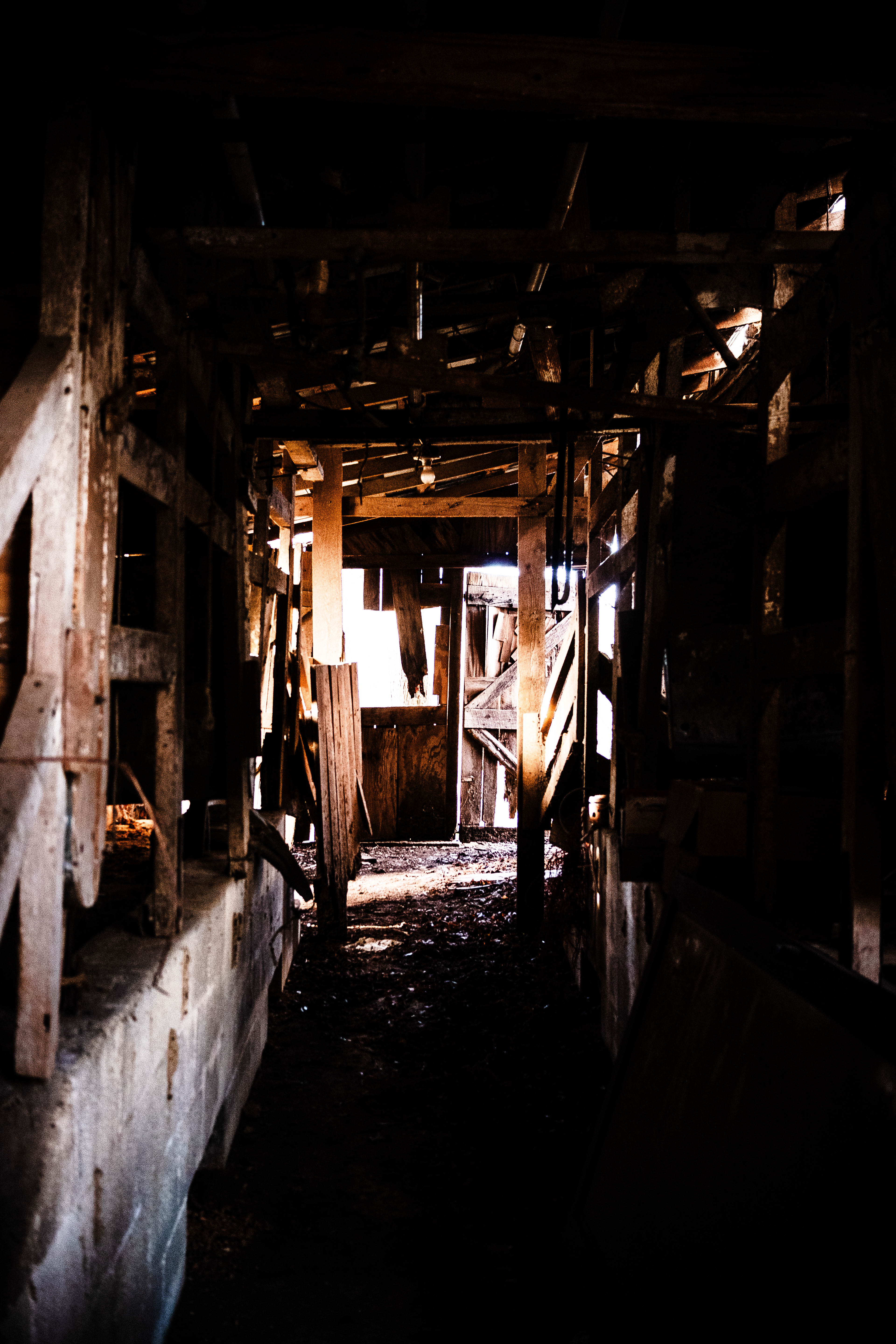 Hidden Passage, 2025