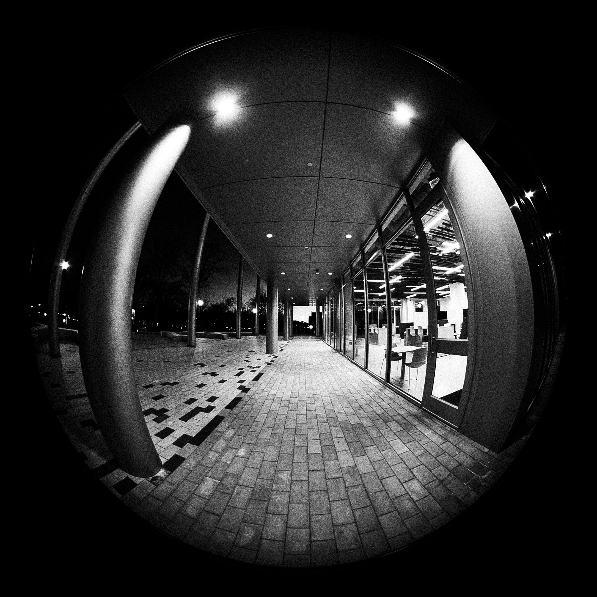 Warped Corridor, 2025