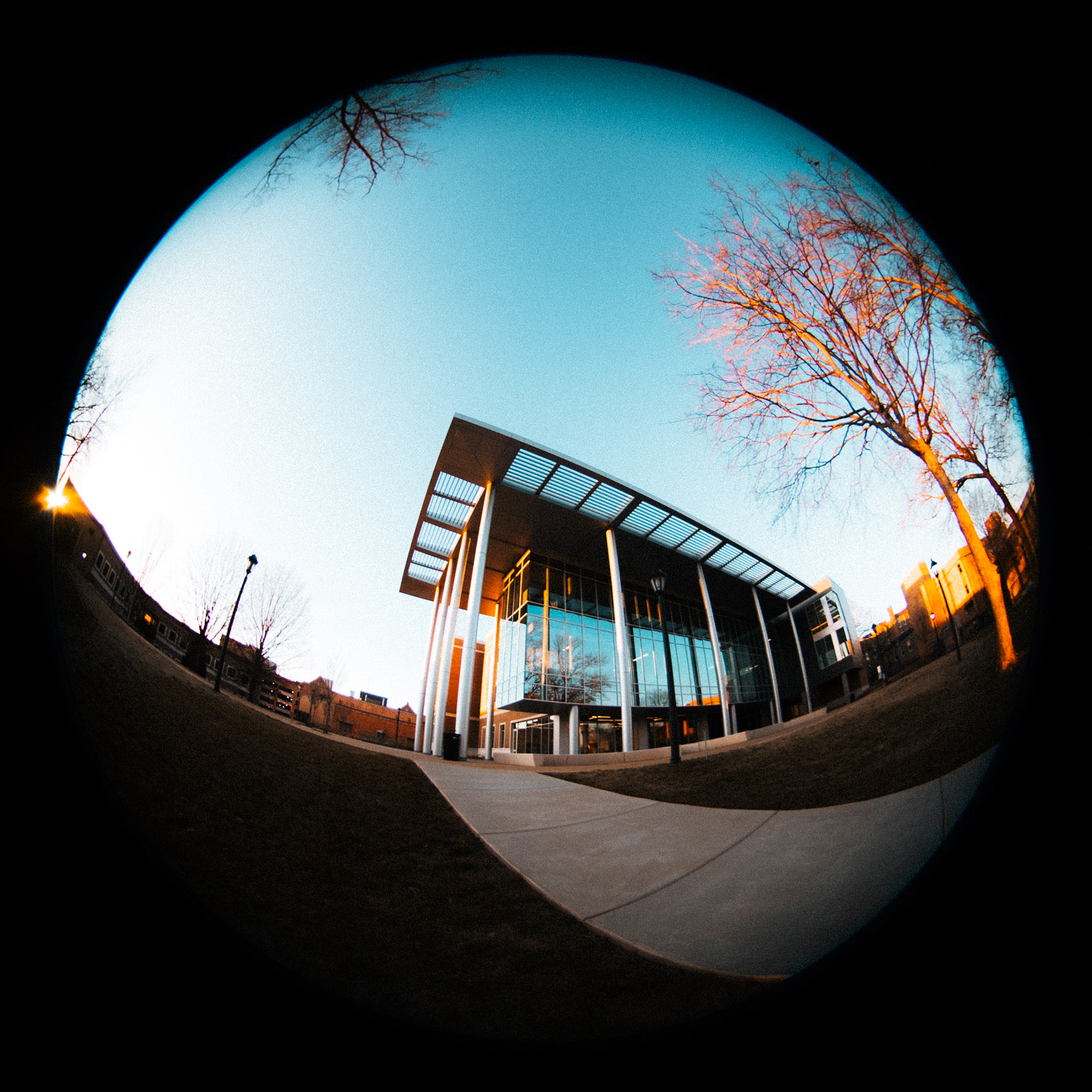 Distorted Horizon, 2025