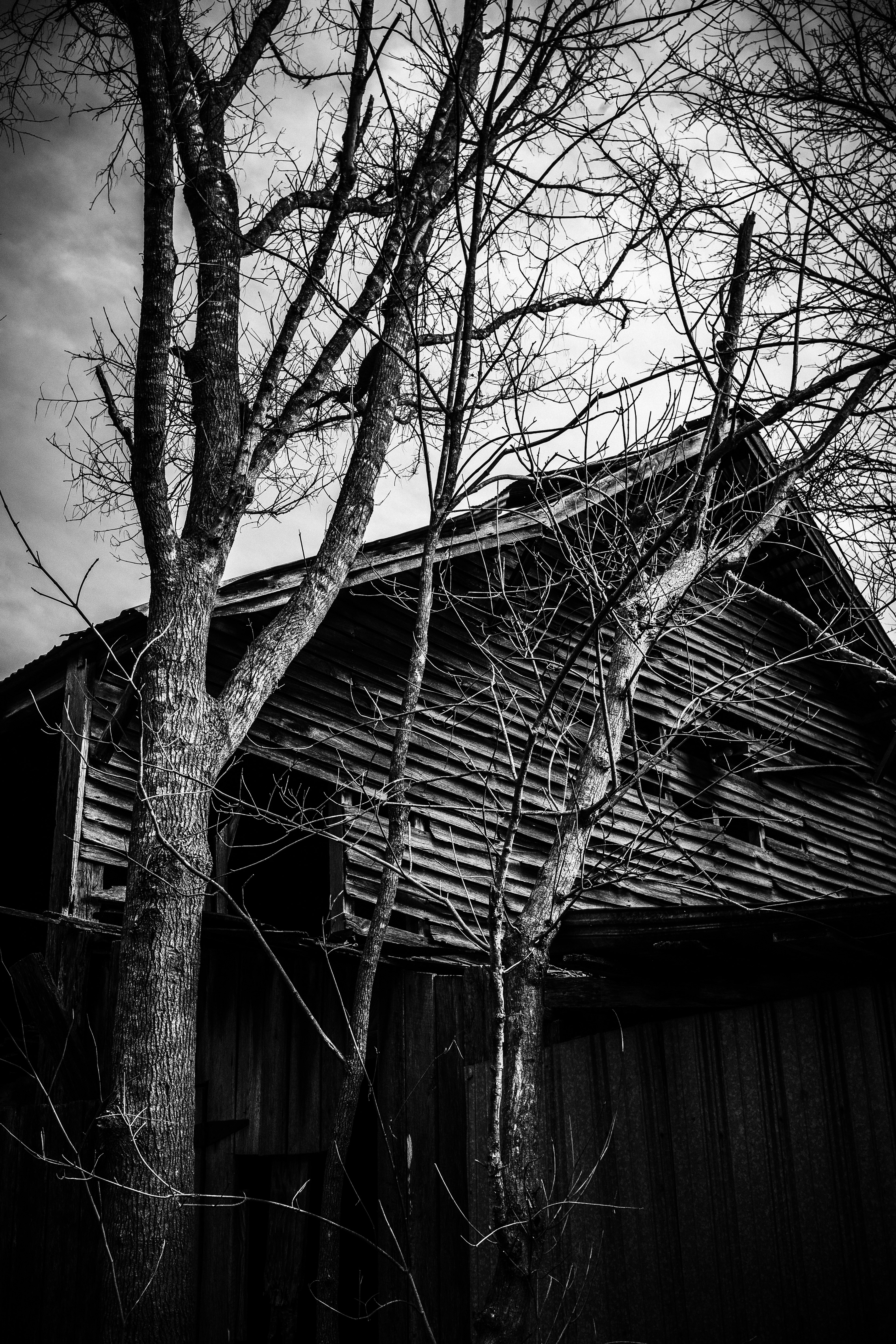 Nature Reclaims, 2025