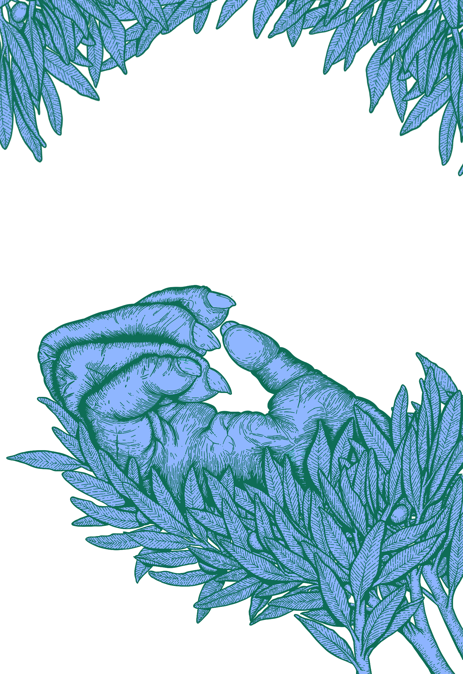 Book jacket illustration #1