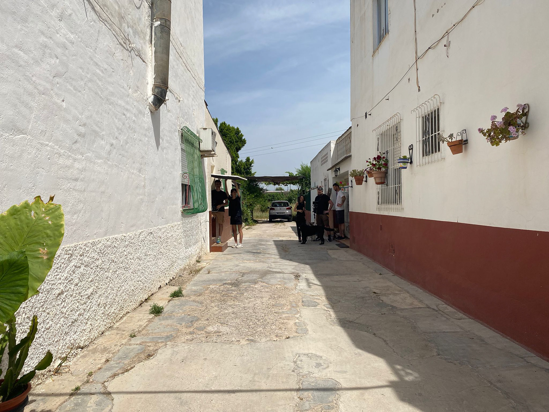 La huerta de Murcia