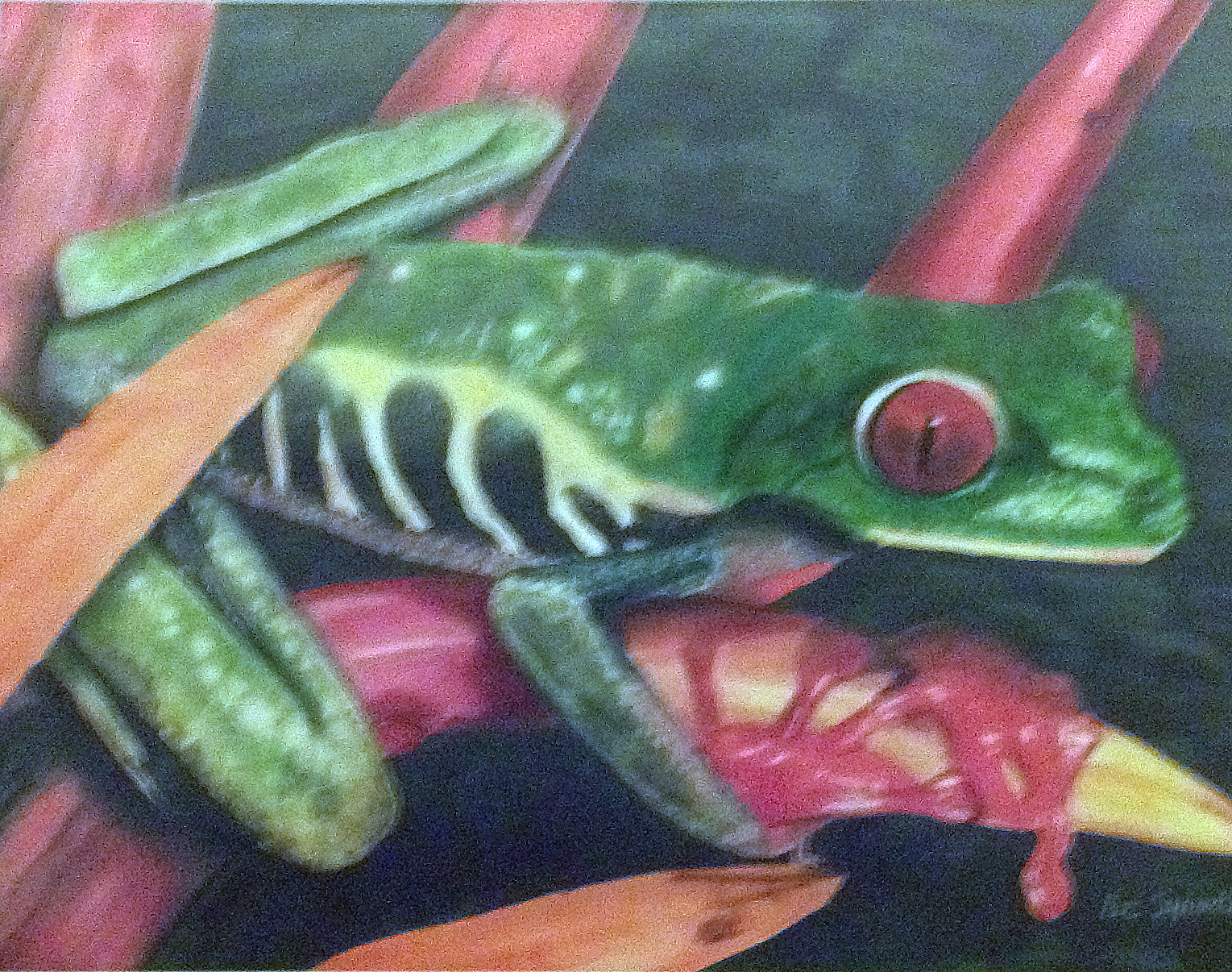 Tree frog in marker