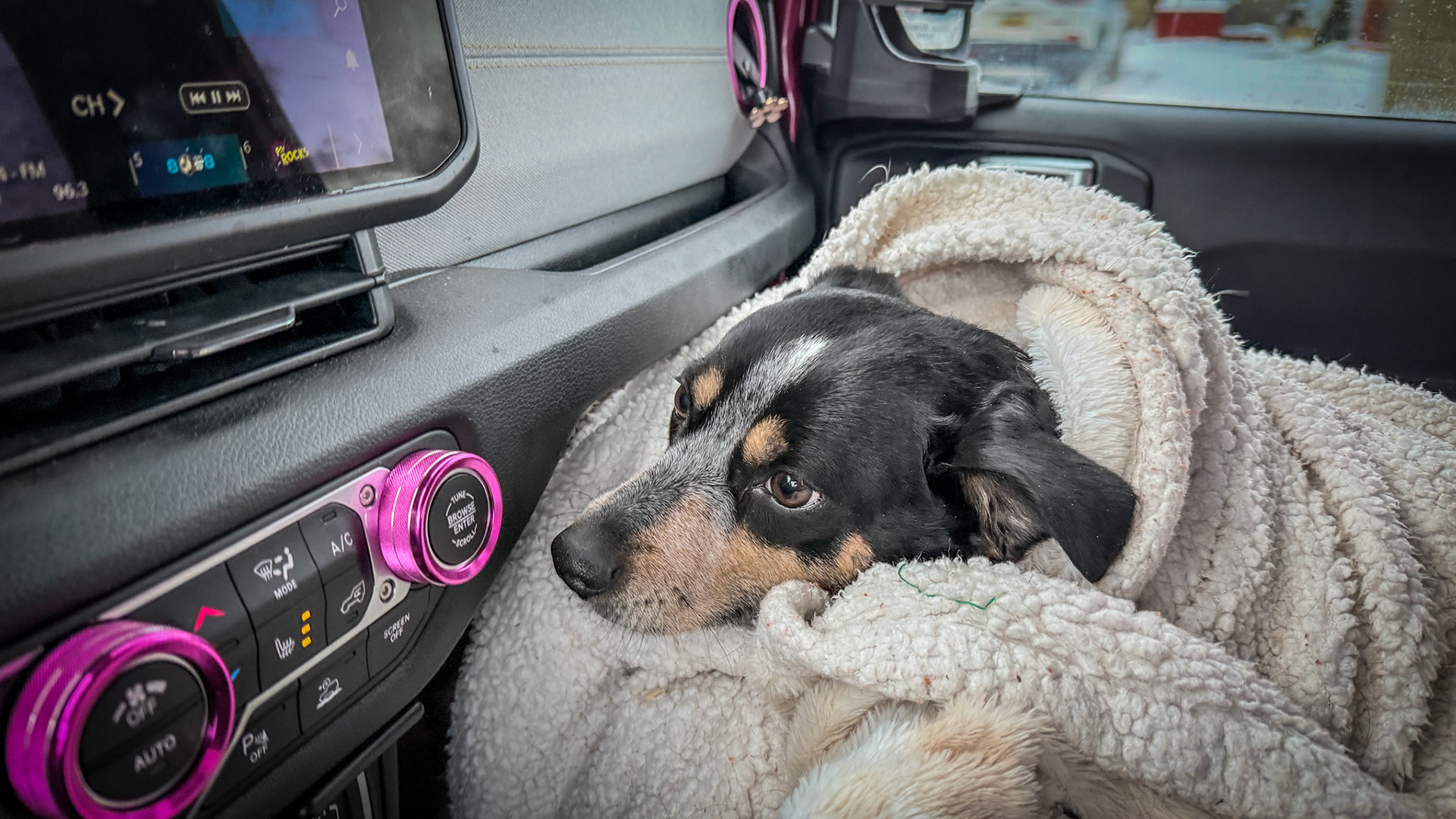 The Passenger, Daisy