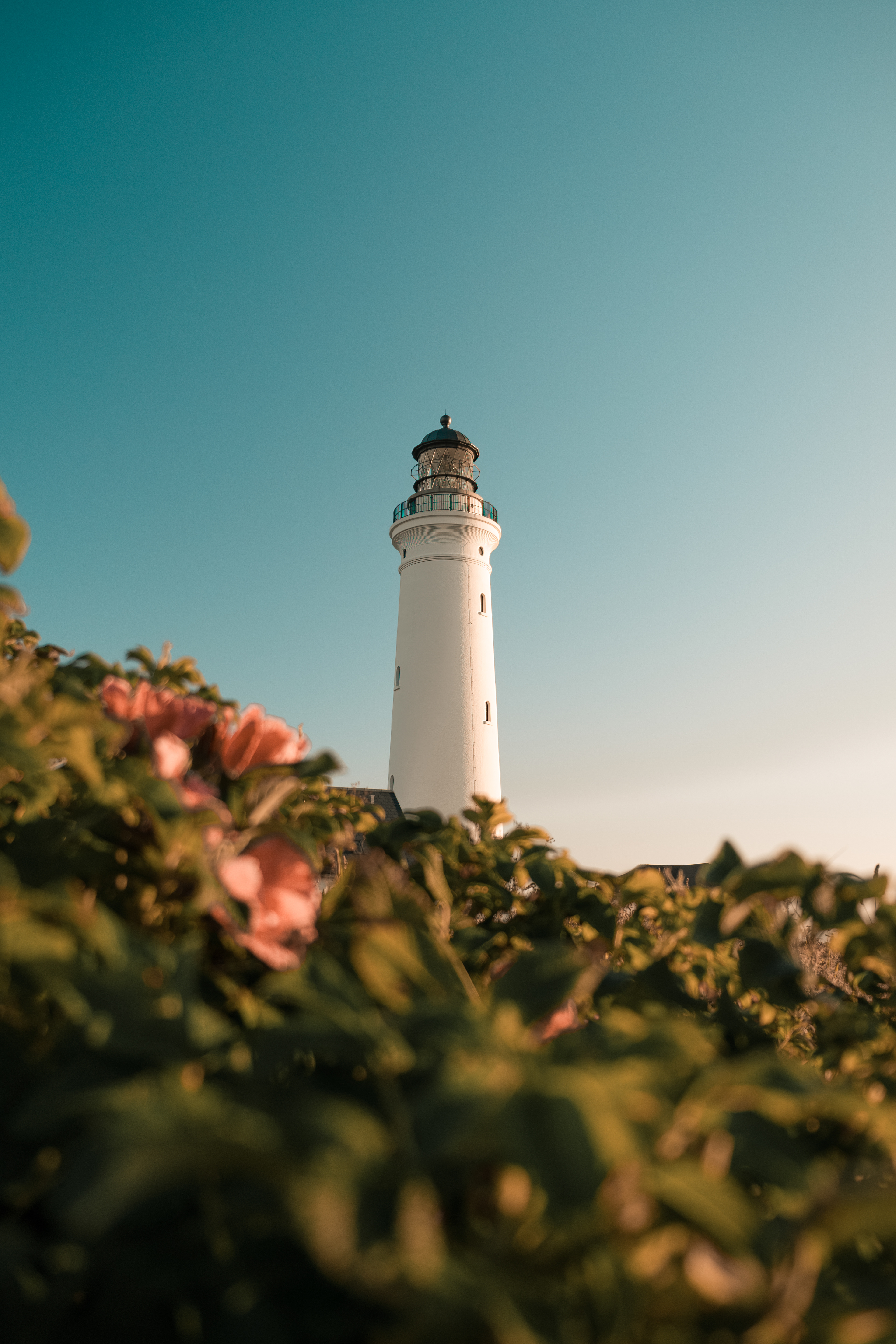 Lighthouse Hirtshals